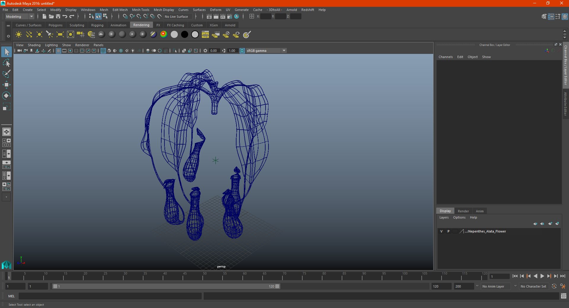 Nepenthes Alata Flower 3D
