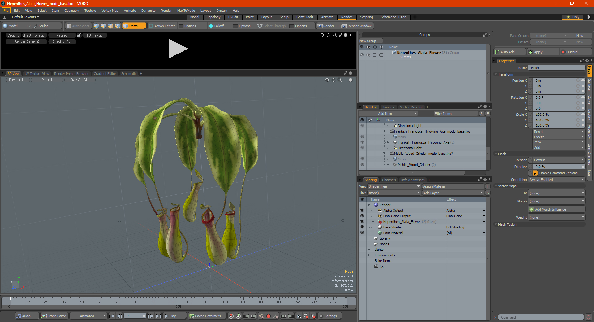 Nepenthes Alata Flower 3D