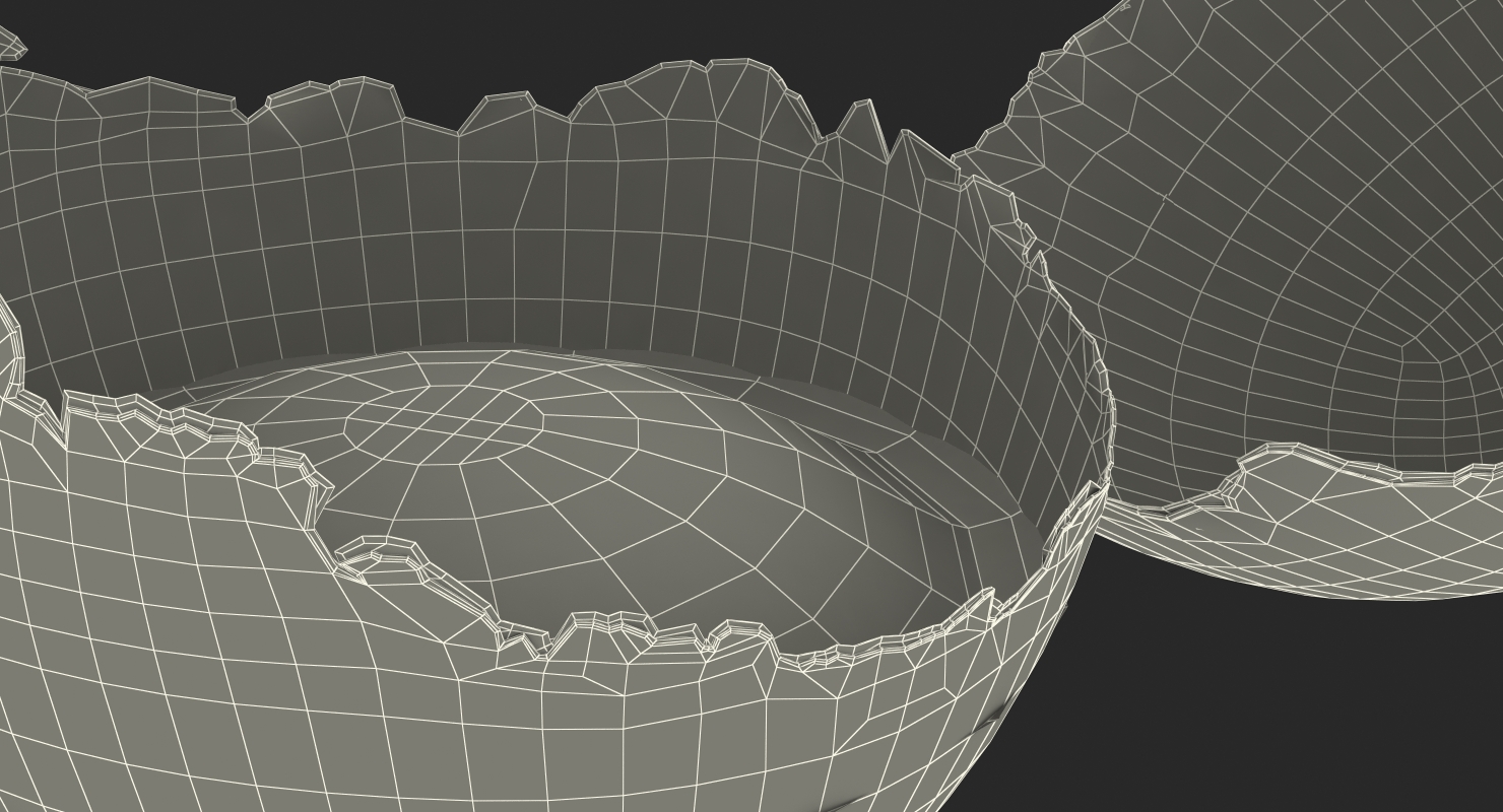 Broken Chicken Egg Shell 3D model