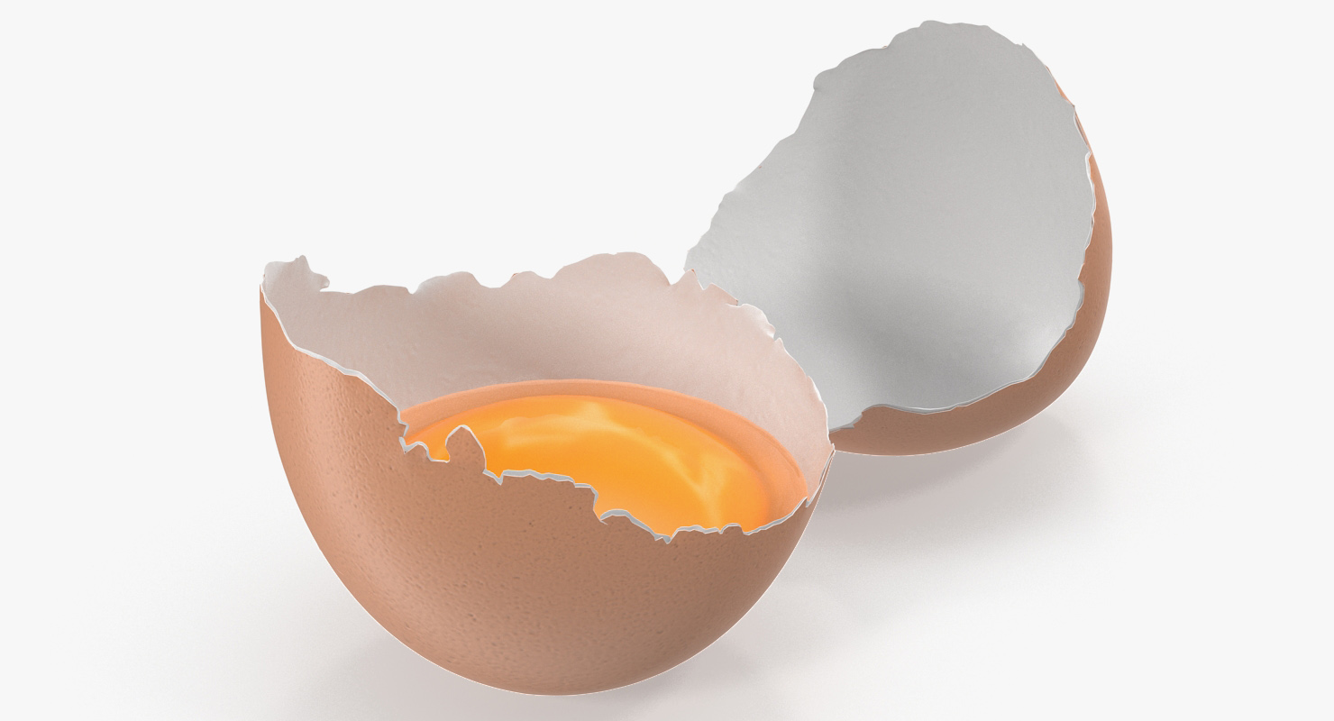 Broken Chicken Egg Shell 3D model