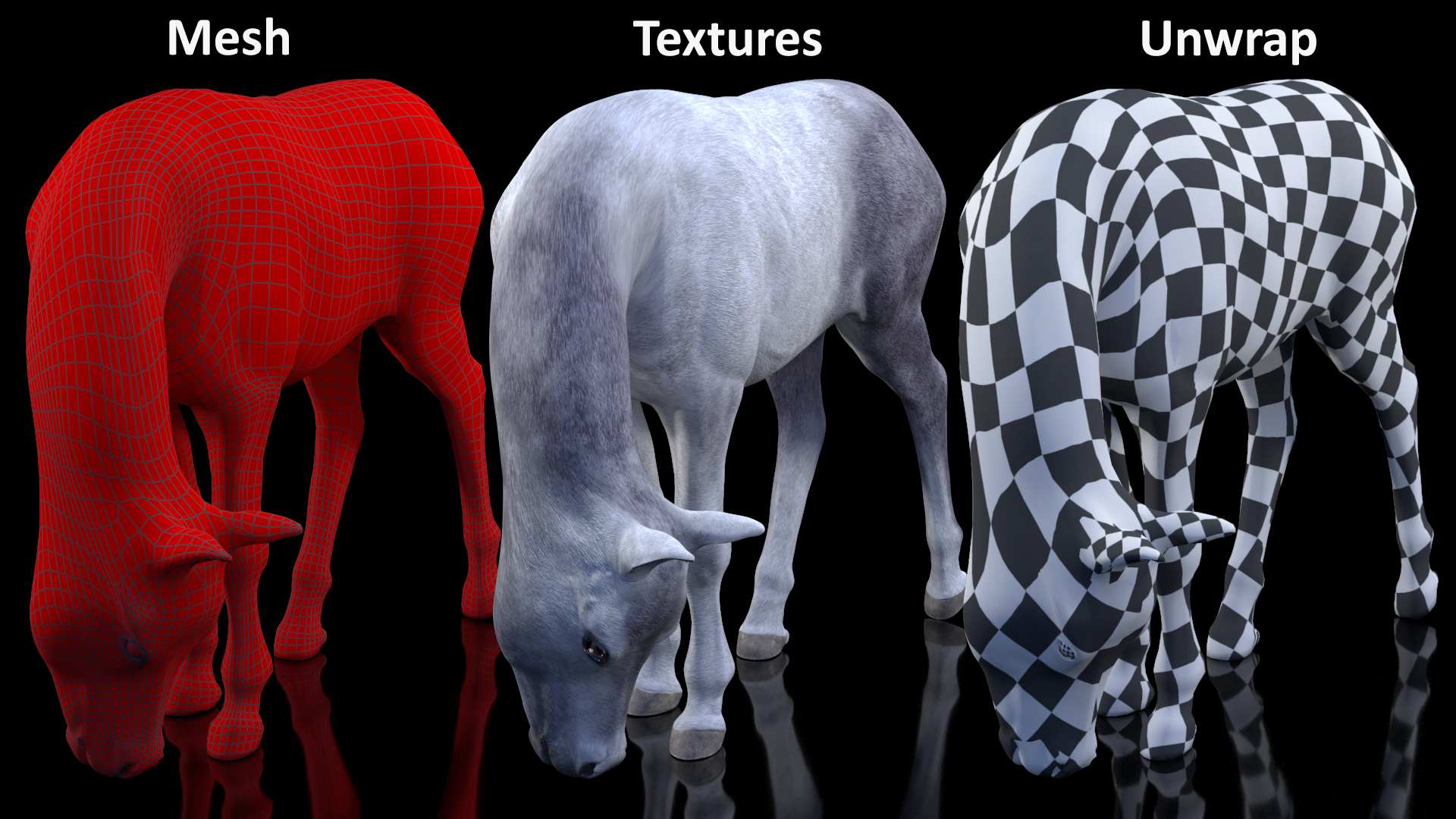 3D model White Shetland Pony in Grazing Pose