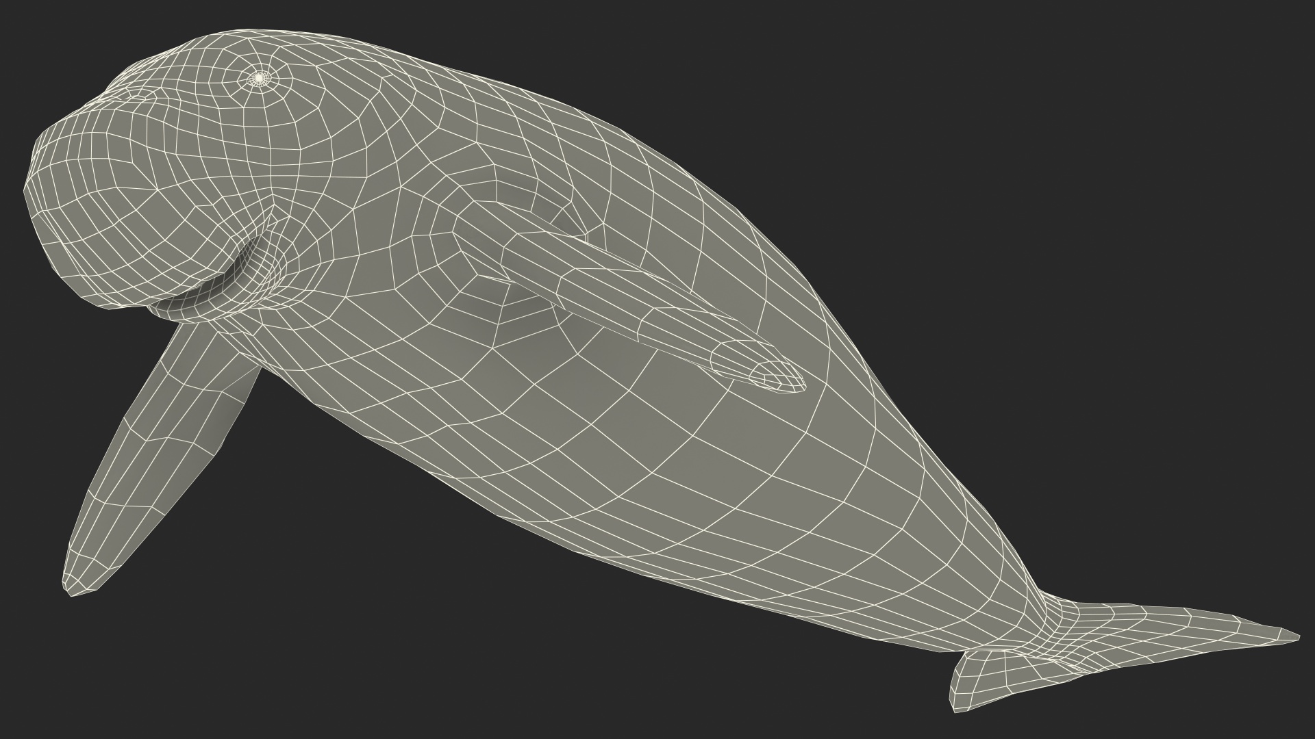 3D model Dugong
