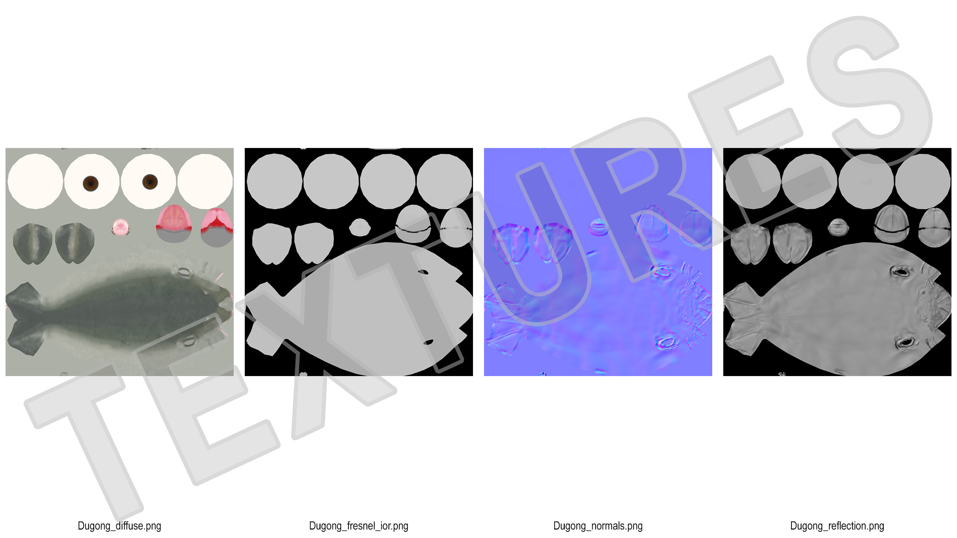 3D model Dugong