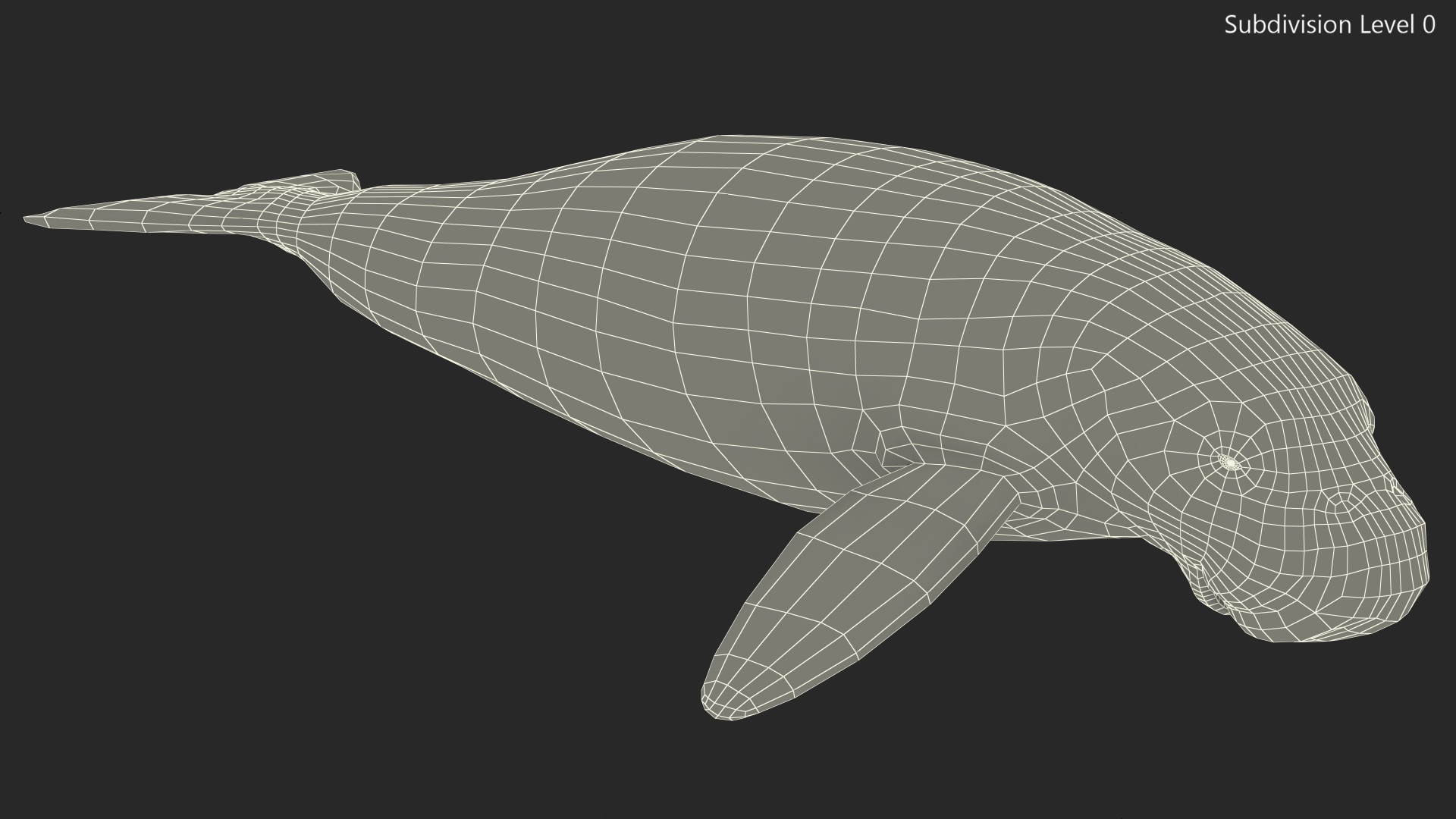 3D model Dugong