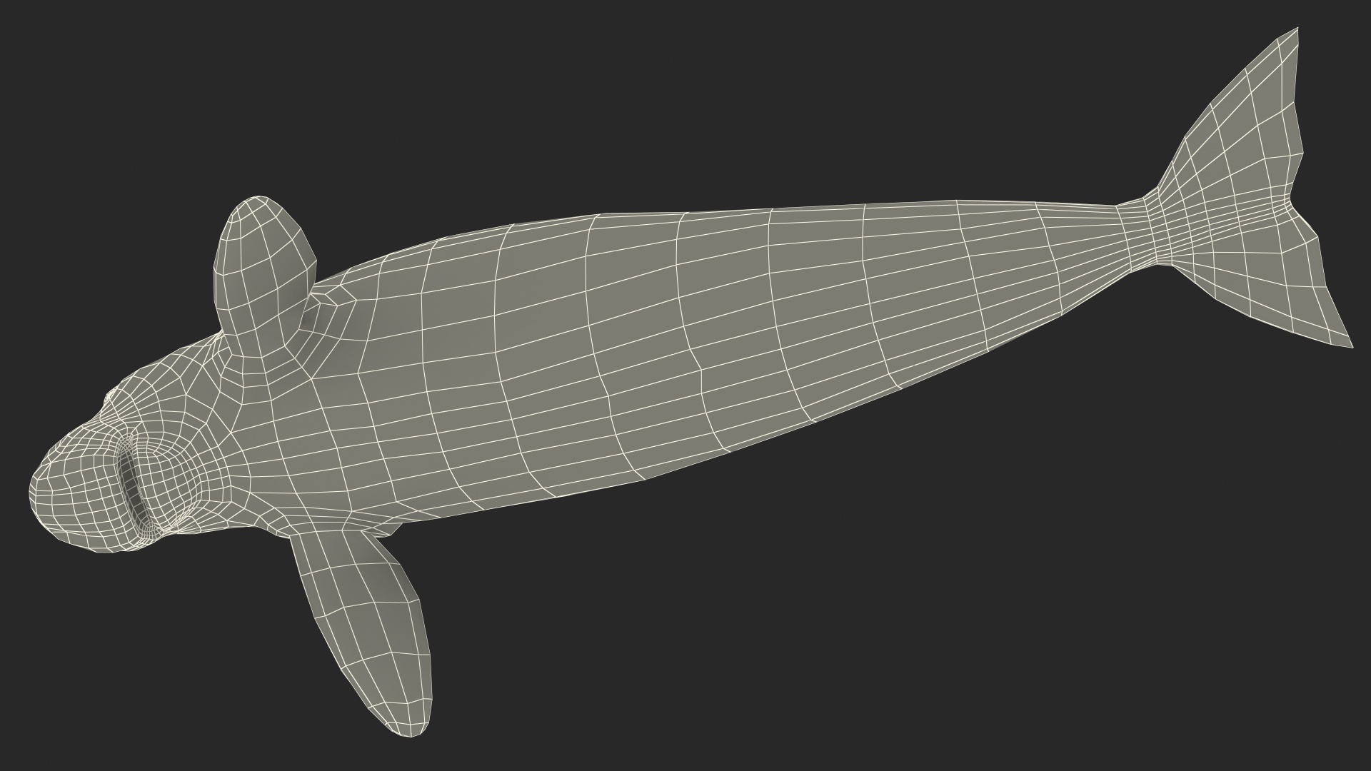 3D model Dugong