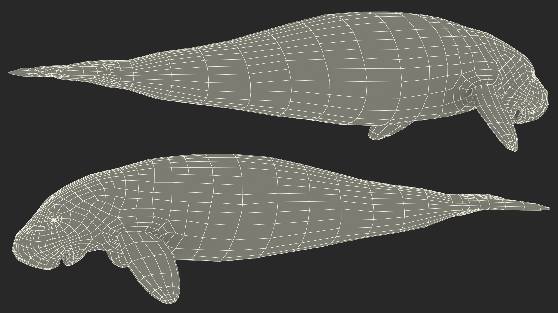 3D model Dugong