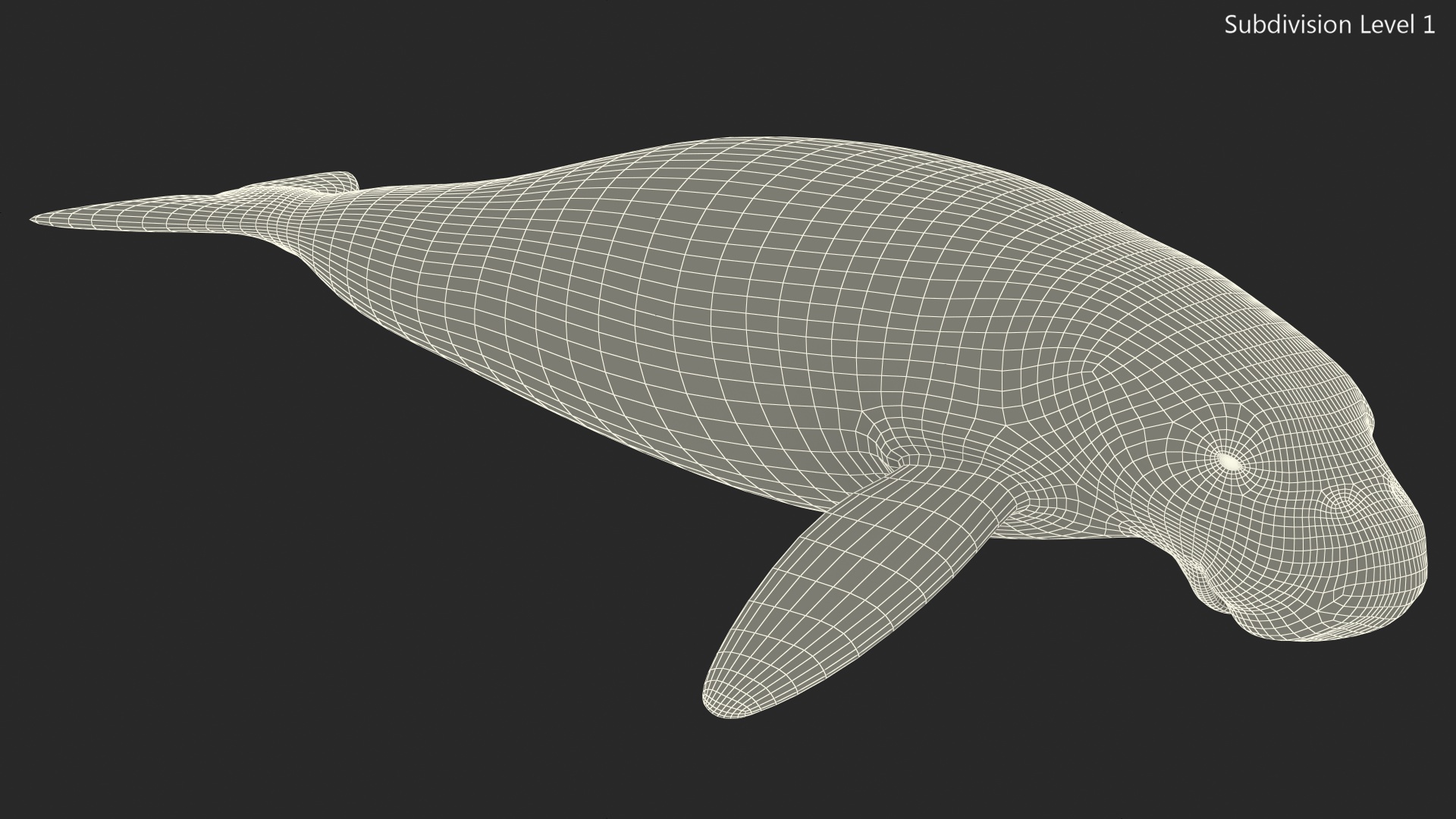 3D model Dugong