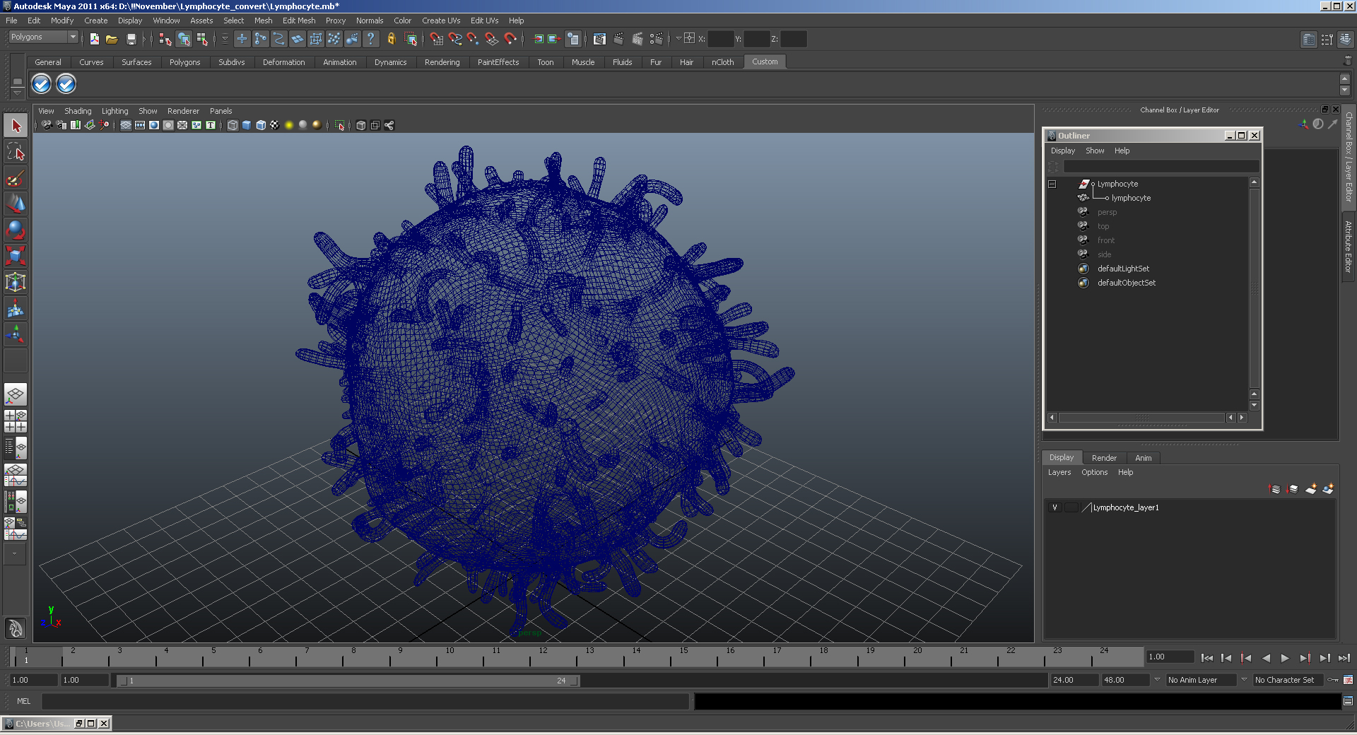 3D model Lymphocyte