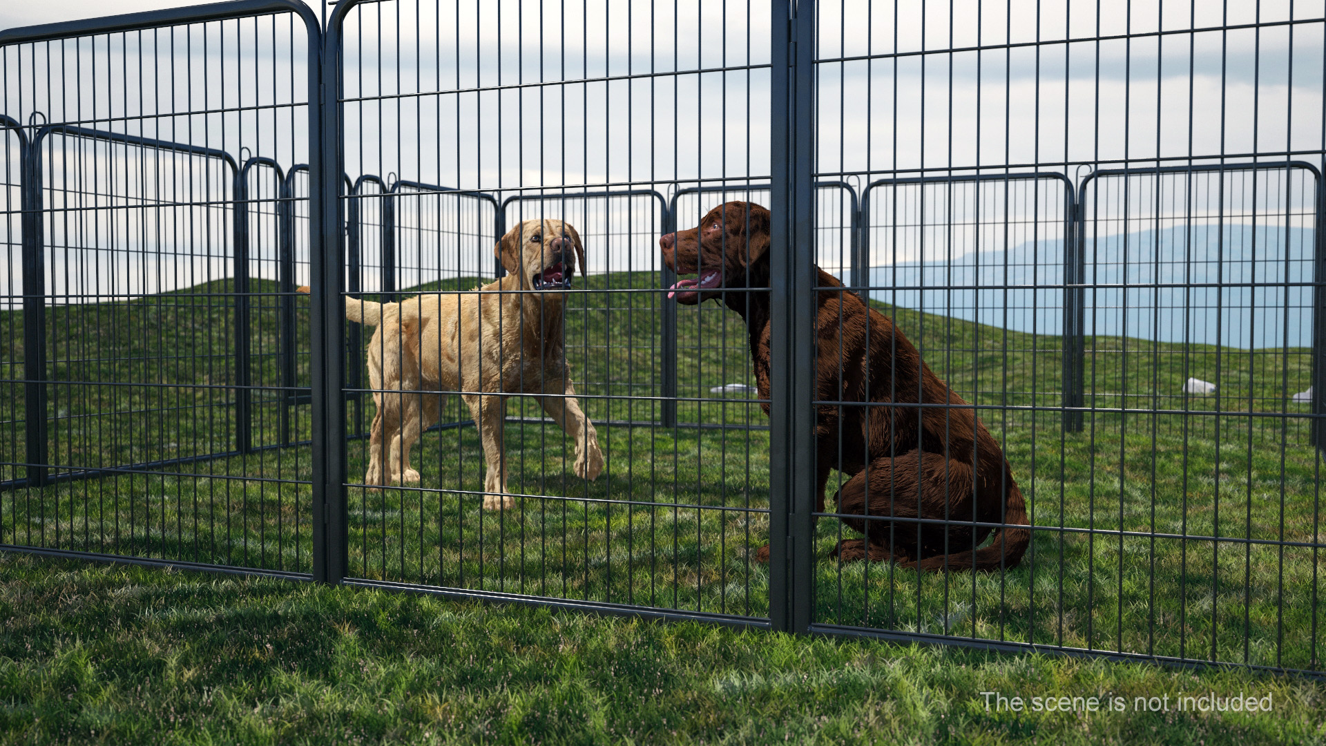 3D Square Playpen for Dogs model