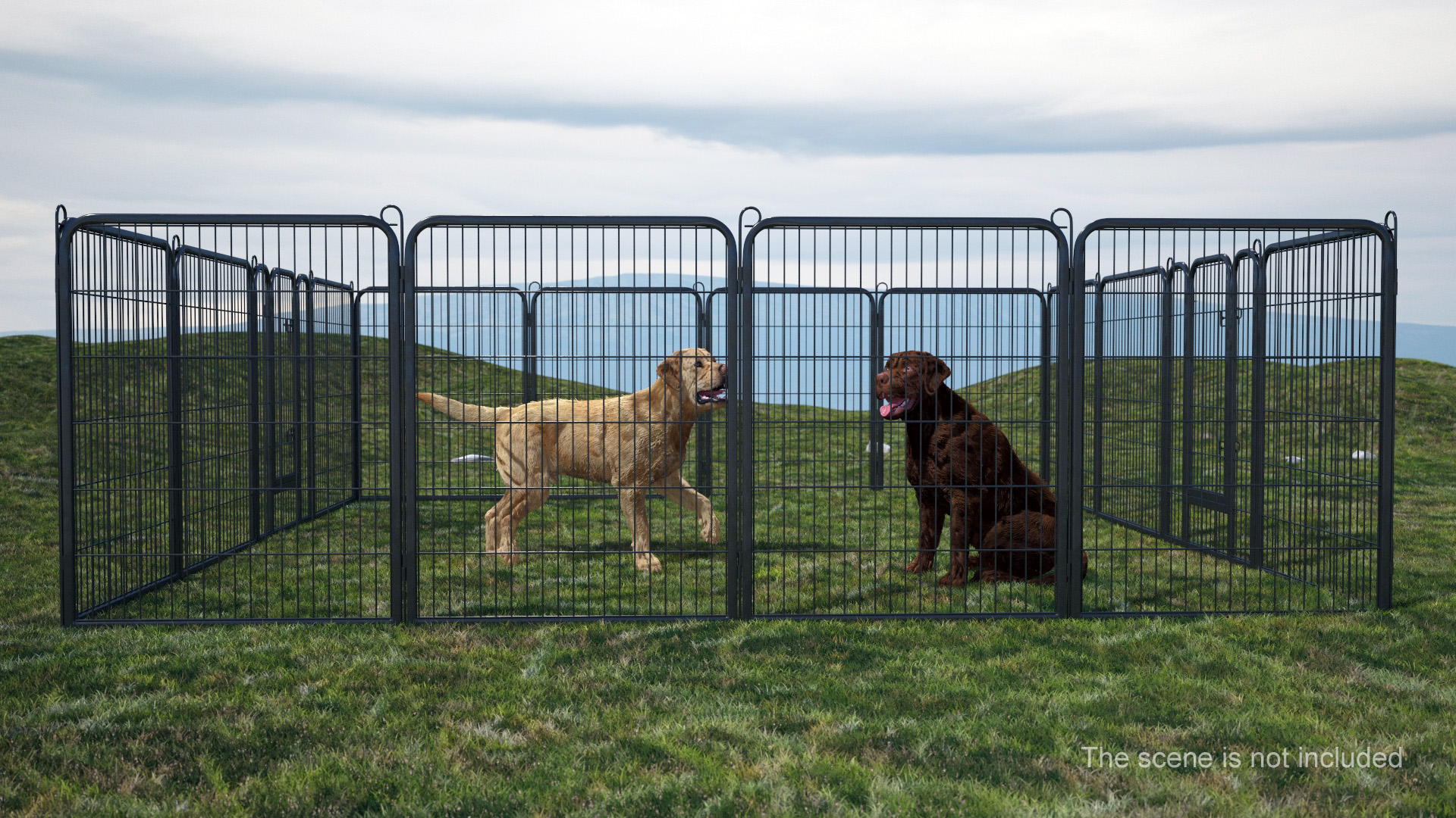 3D Square Playpen for Dogs model