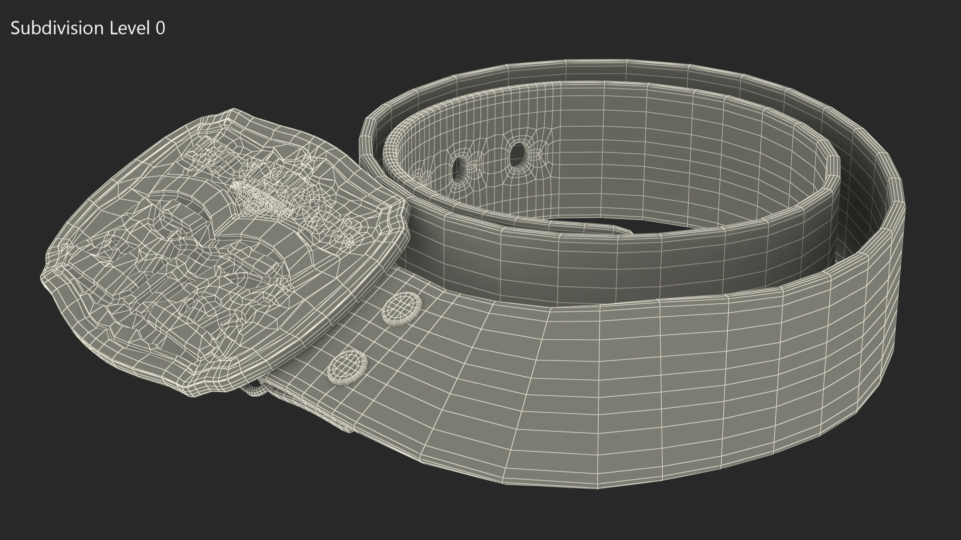 Levi Strauss Belt 3D