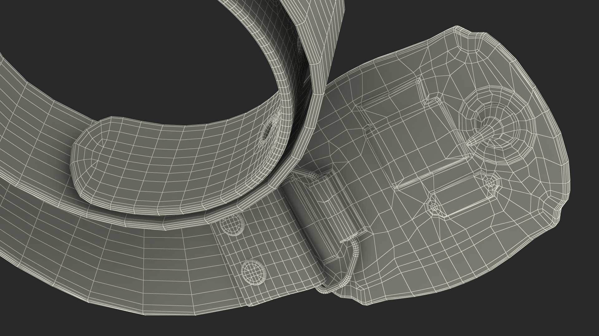 Levi Strauss Belt 3D