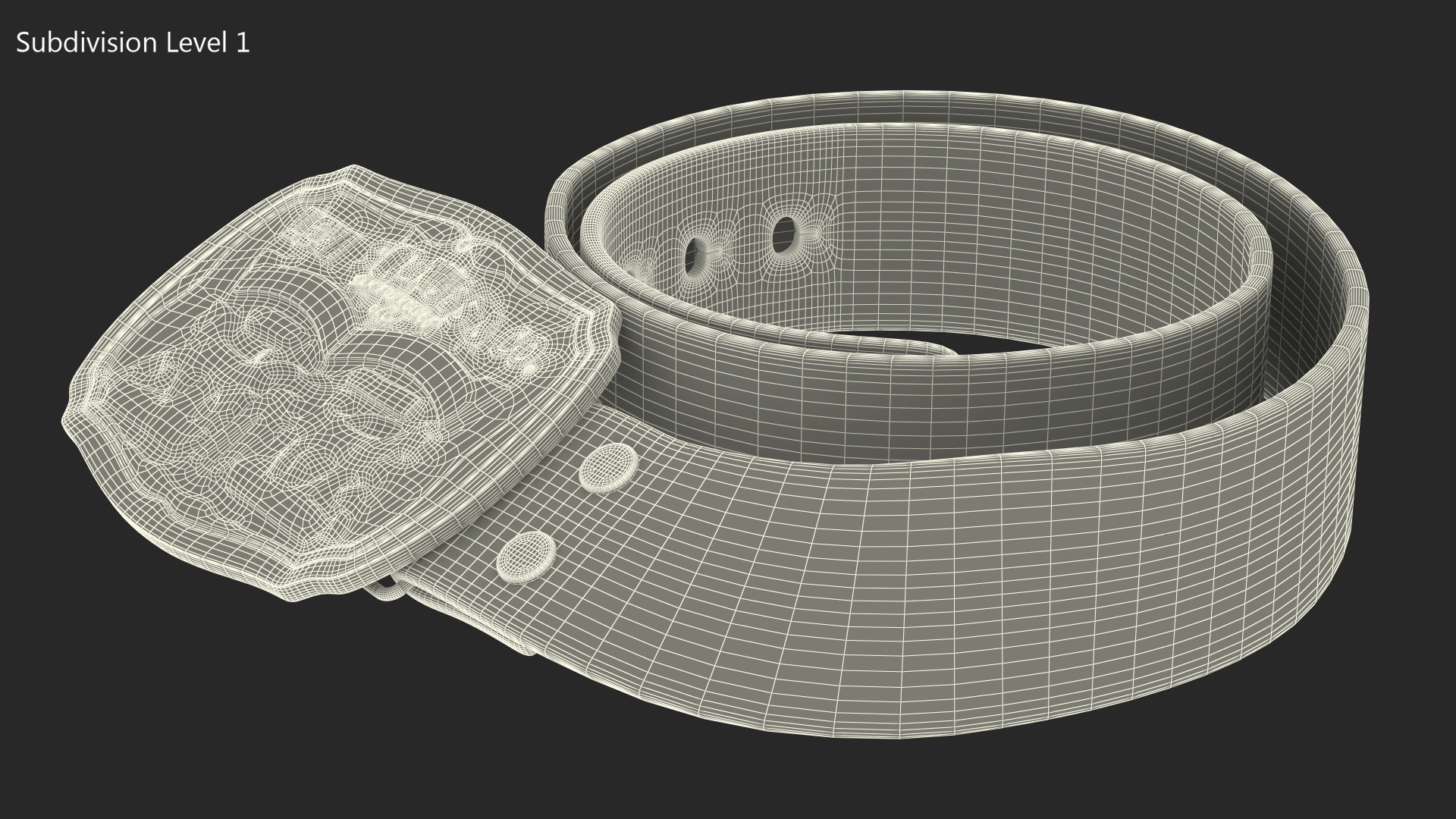 Levi Strauss Belt 3D