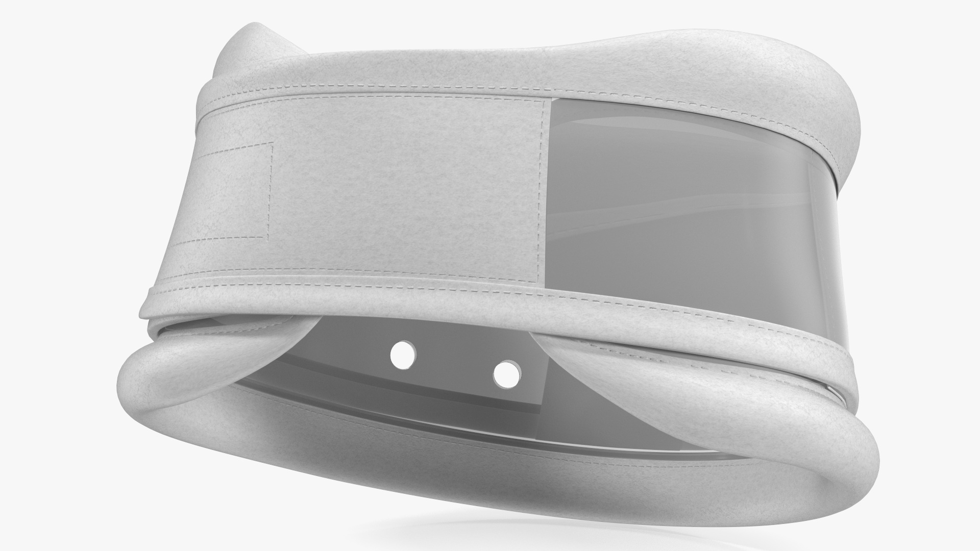 3D Schanz Collar model