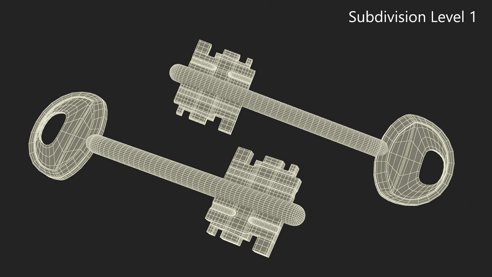 3D Door Lock Key model