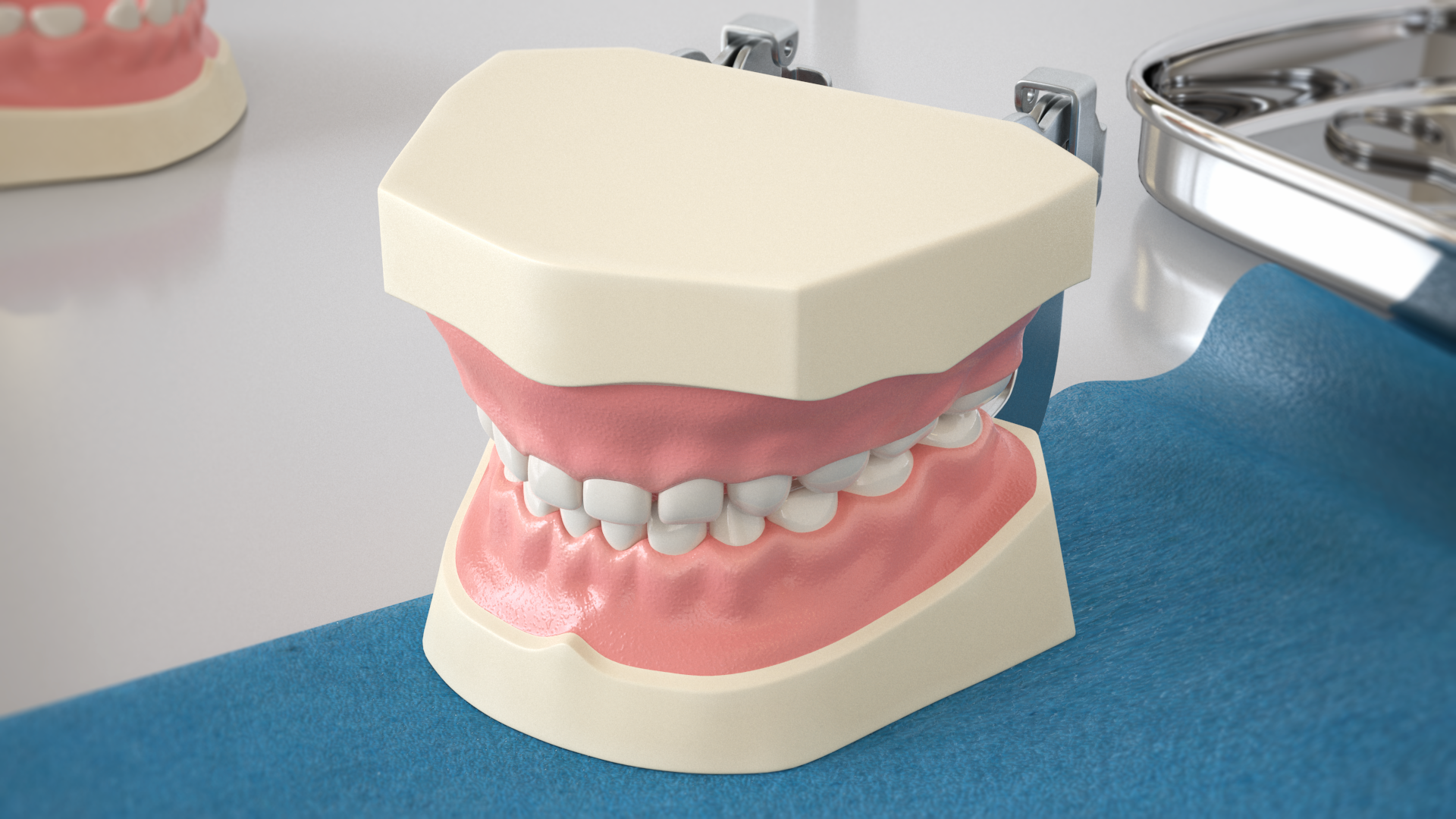 Dental Anatomy Pediatric Typodont Model with Removable Teeth, view 10