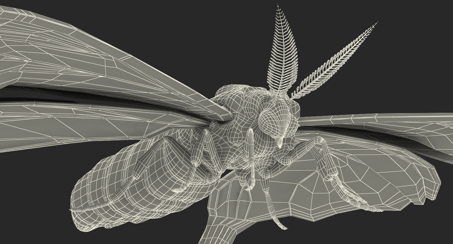3D model Comet Moth