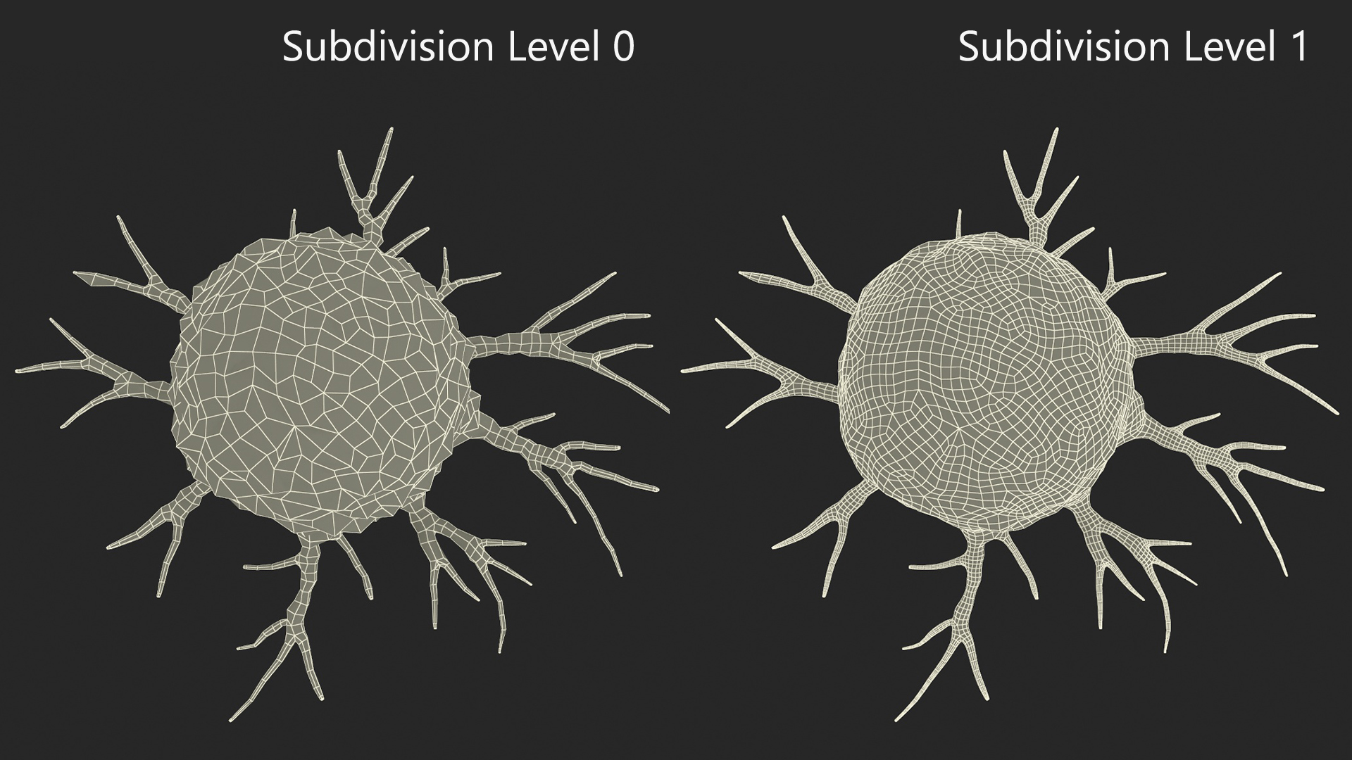 3D Cancer Cell