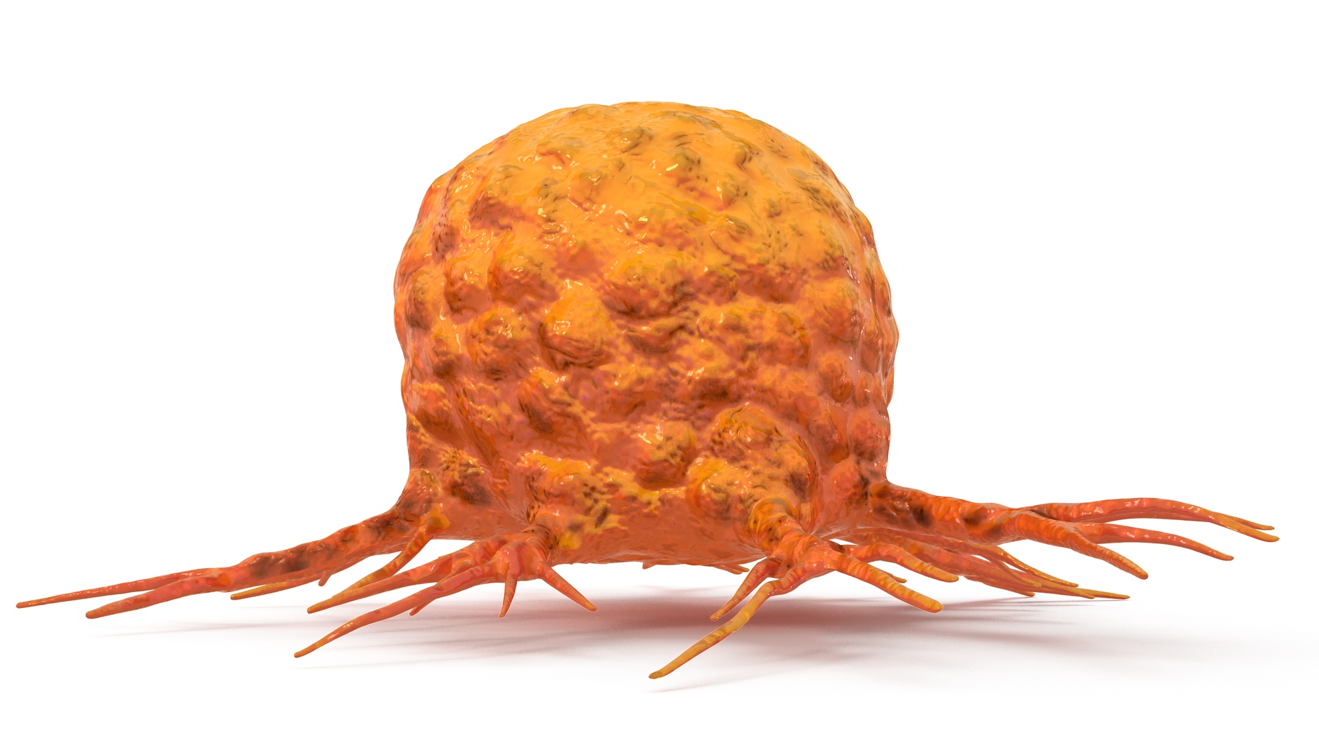 3D Cancer Cell