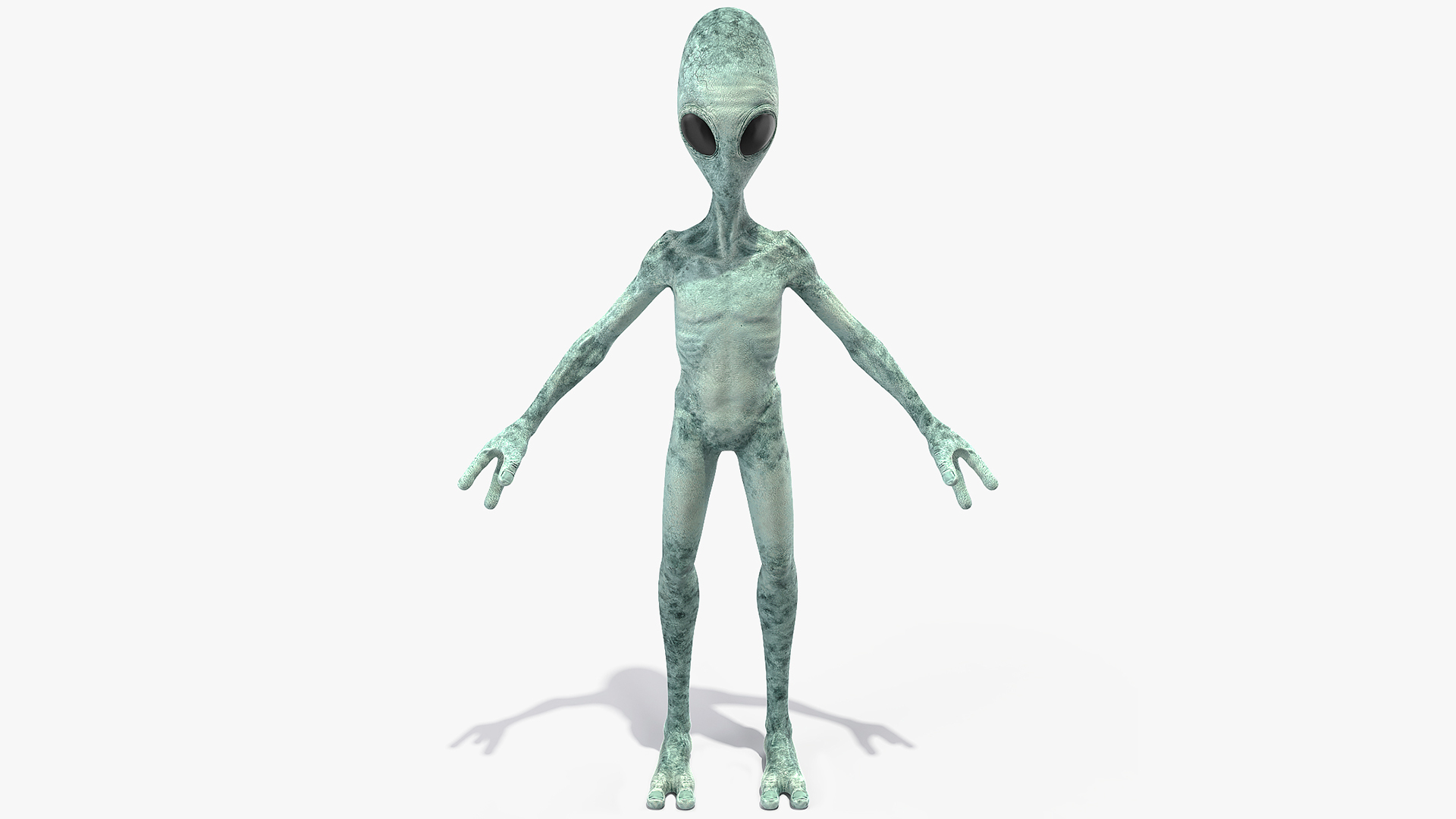 Extraterrestrial Alien T Pose 3D model