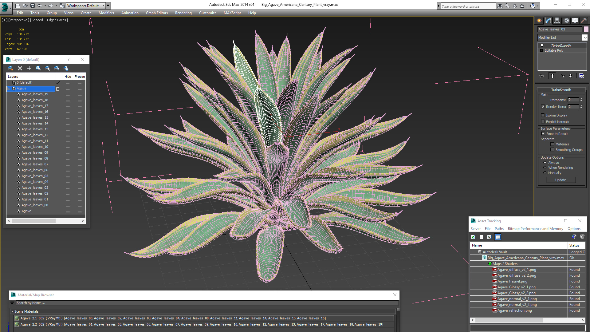 3D Big Agave Americana Century Plant model