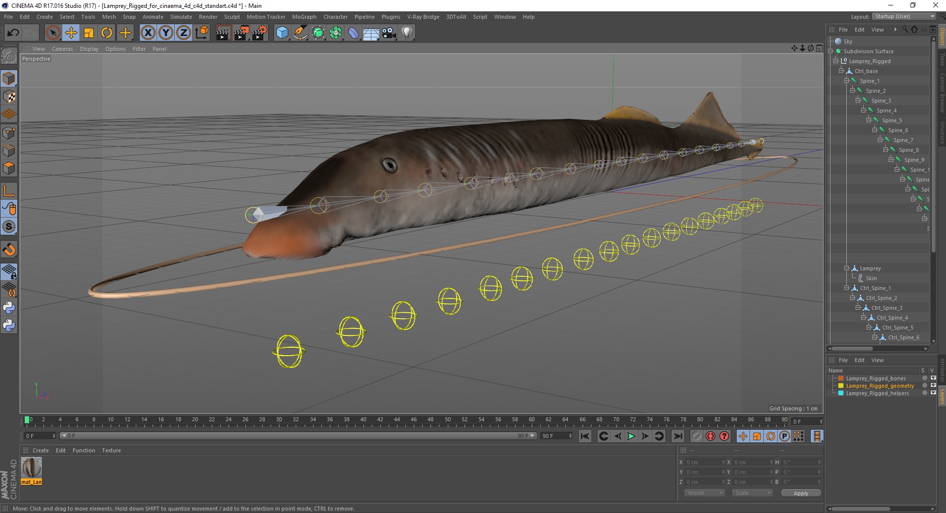 3D Lamprey Rigged for Cinema 4D model