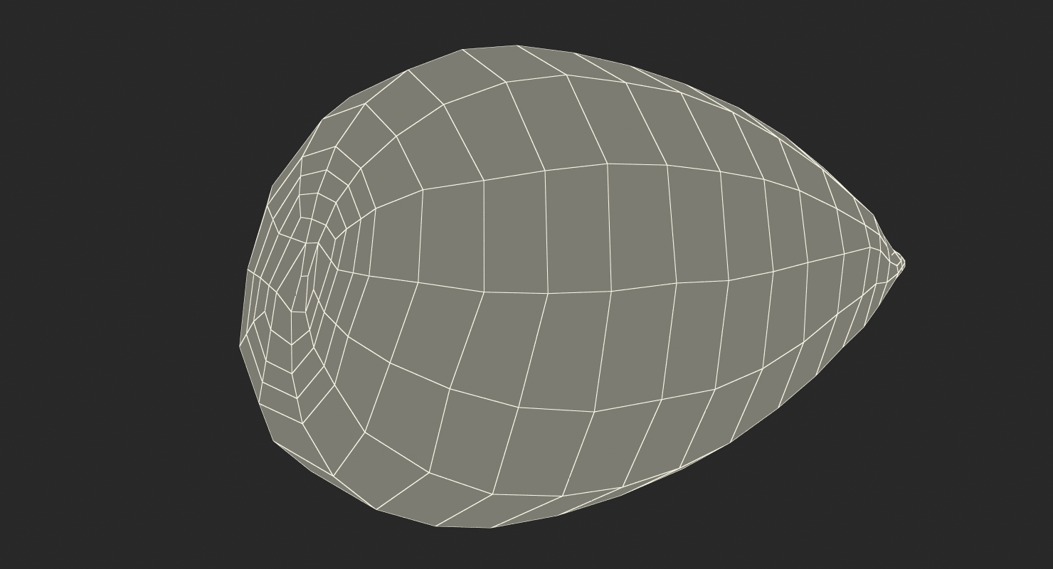 Avocado Seed 3D