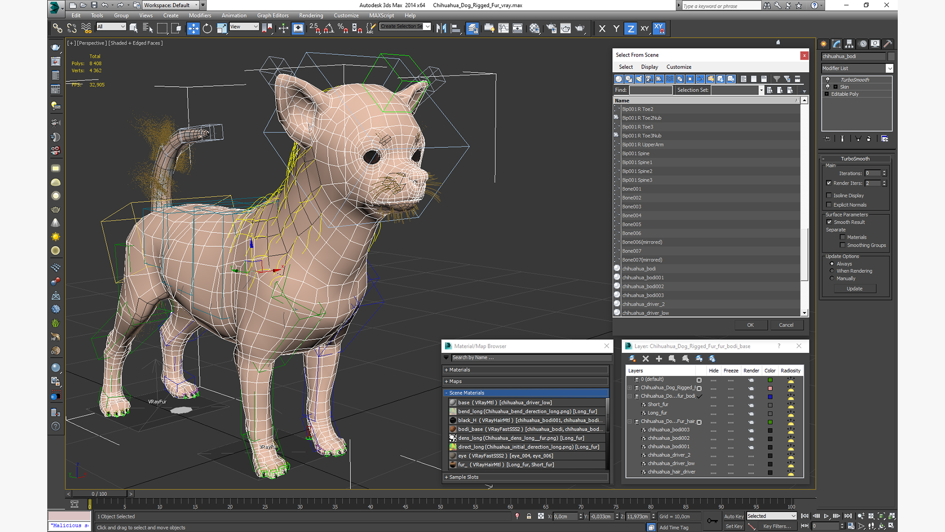 Chihuahua Dog Rigged Fur 3D model