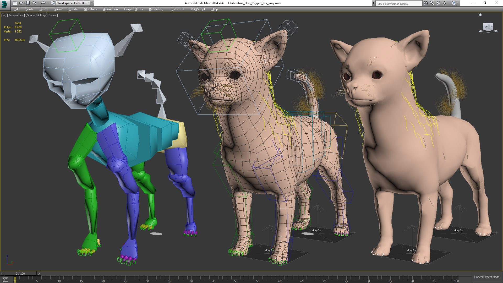 Chihuahua Dog Rigged Fur 3D model
