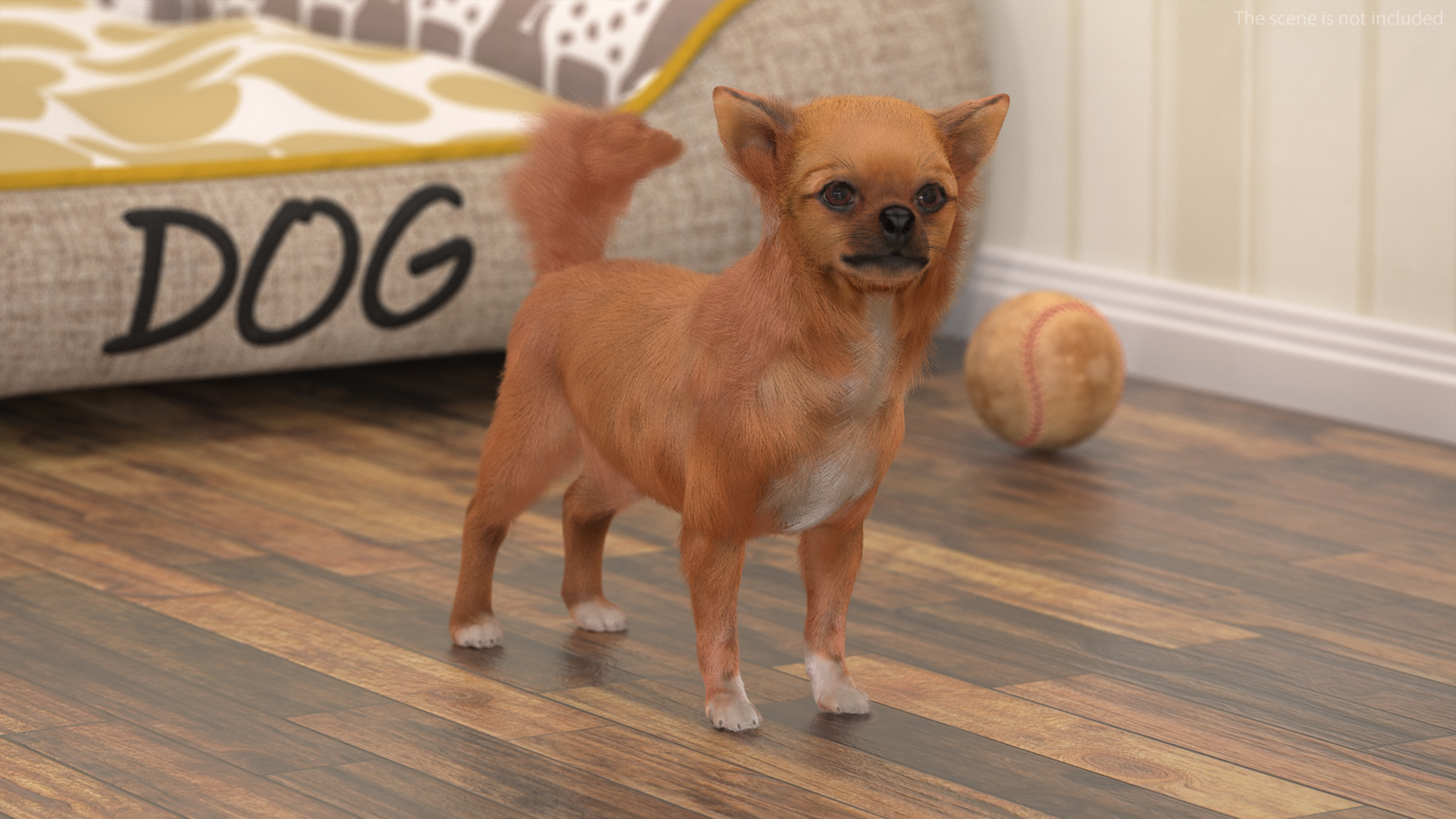 Chihuahua Dog Rigged Fur 3D model