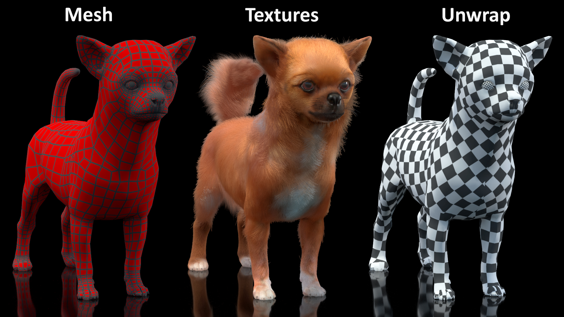 Chihuahua Dog Rigged Fur 3D model