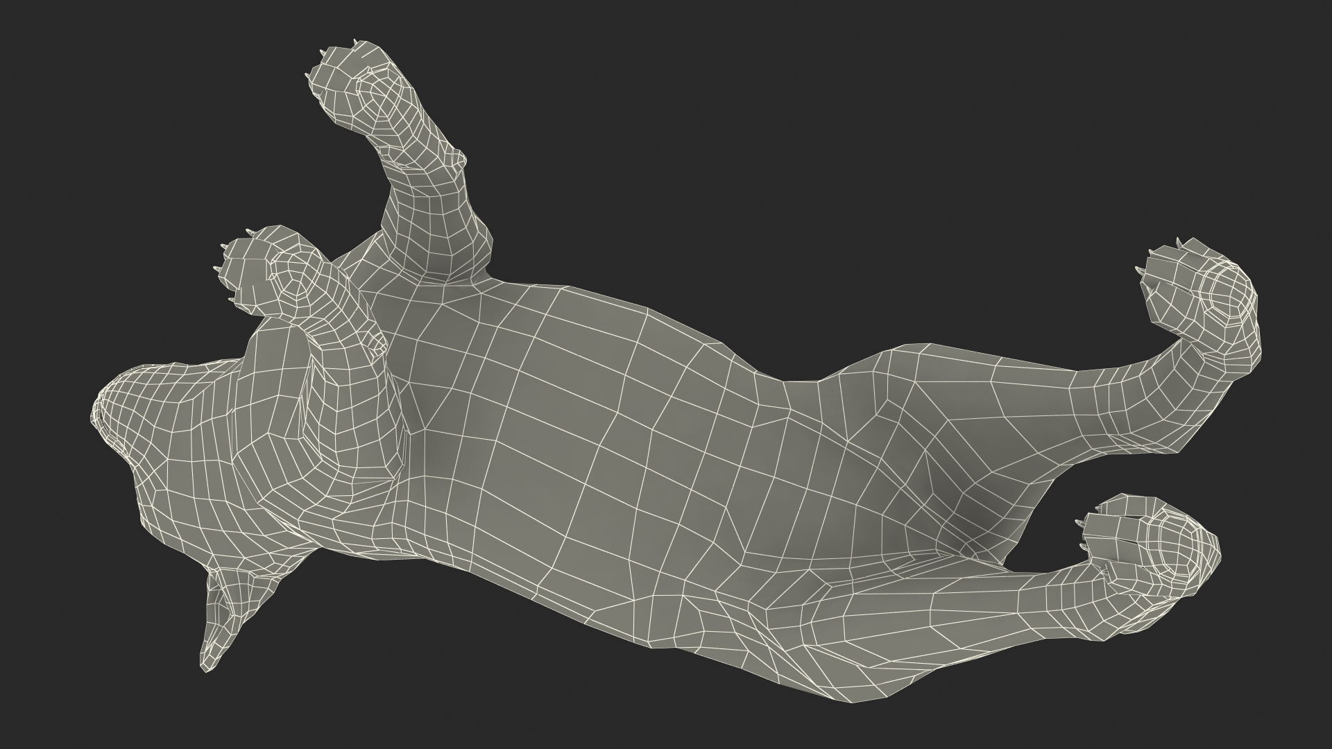 Chihuahua Dog Rigged Fur 3D model