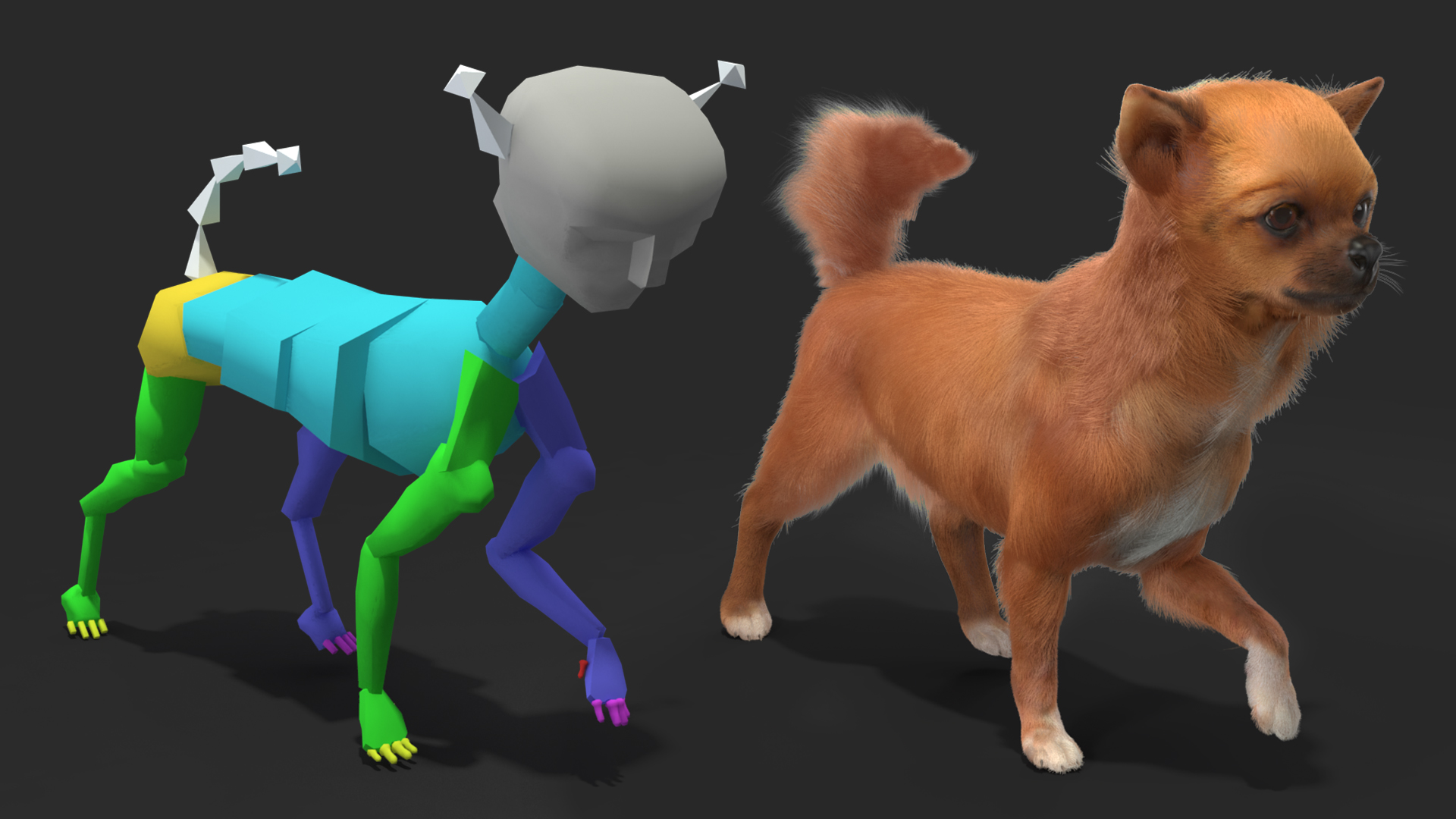 Chihuahua Dog Rigged Fur 3D model