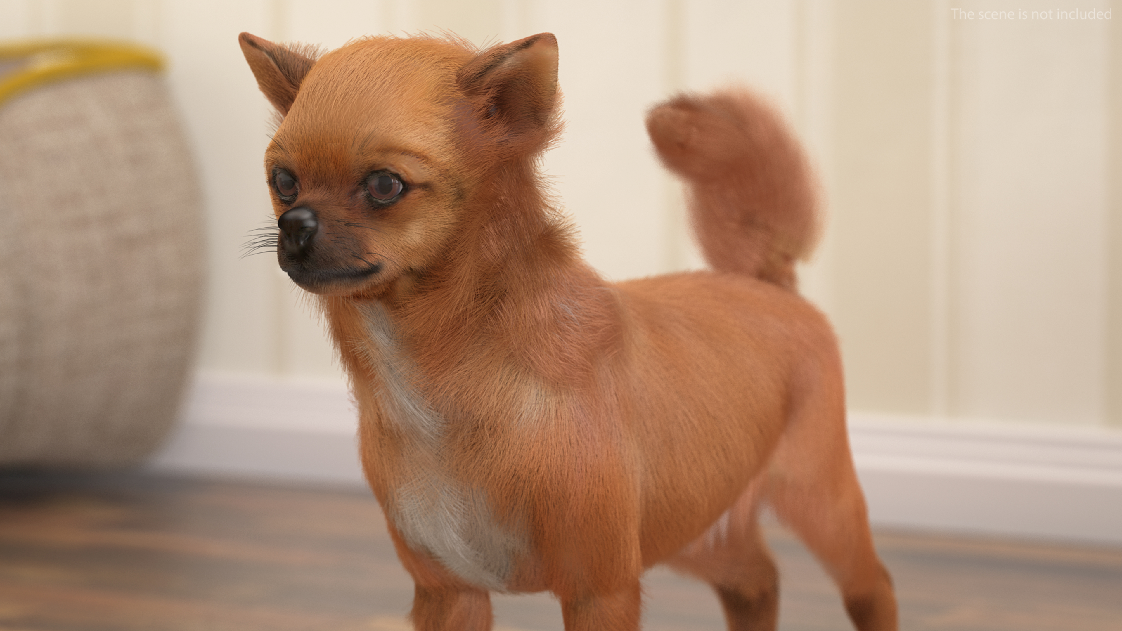 Chihuahua Dog Rigged Fur 3D model