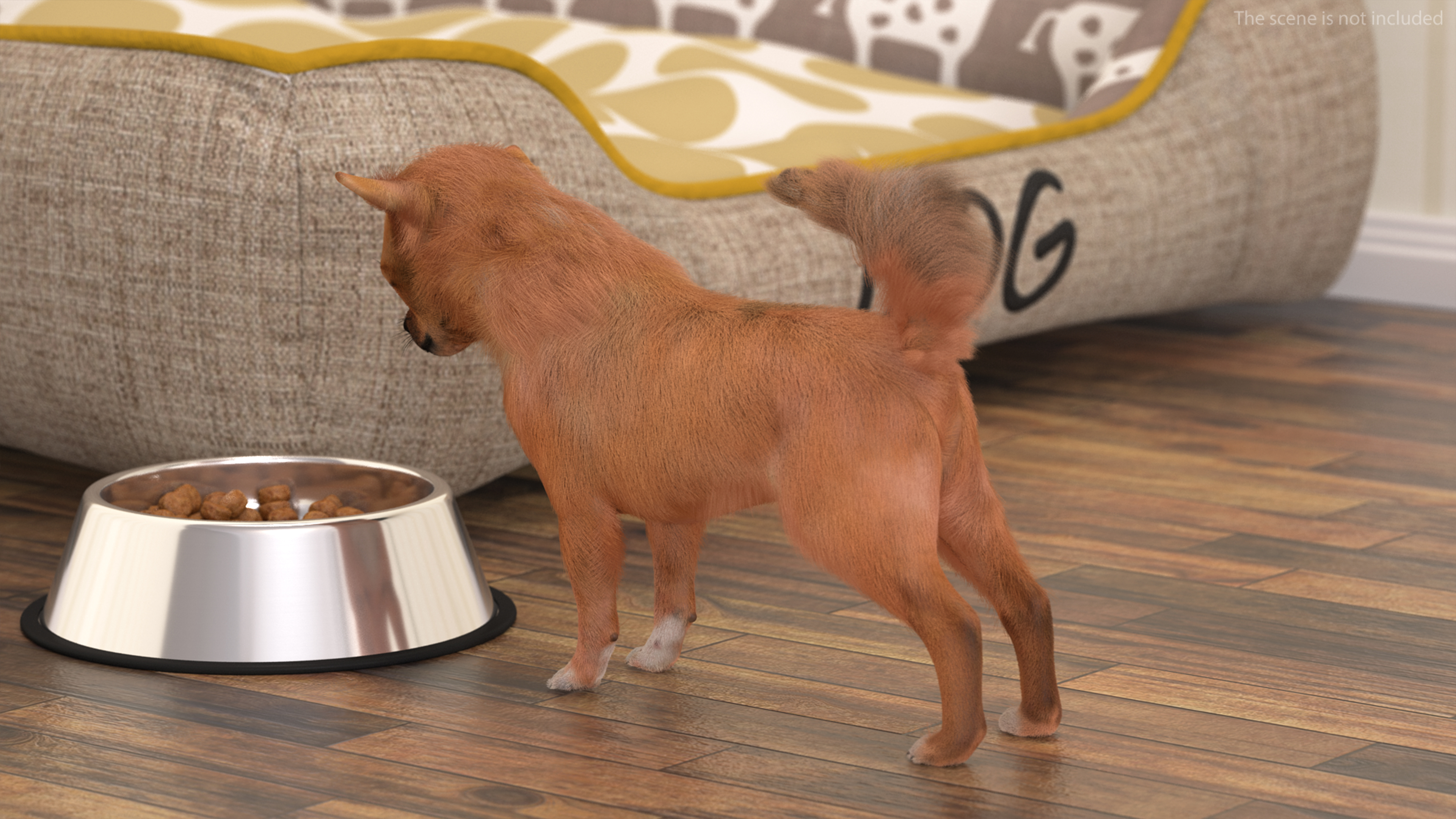 Chihuahua Dog Rigged Fur 3D model