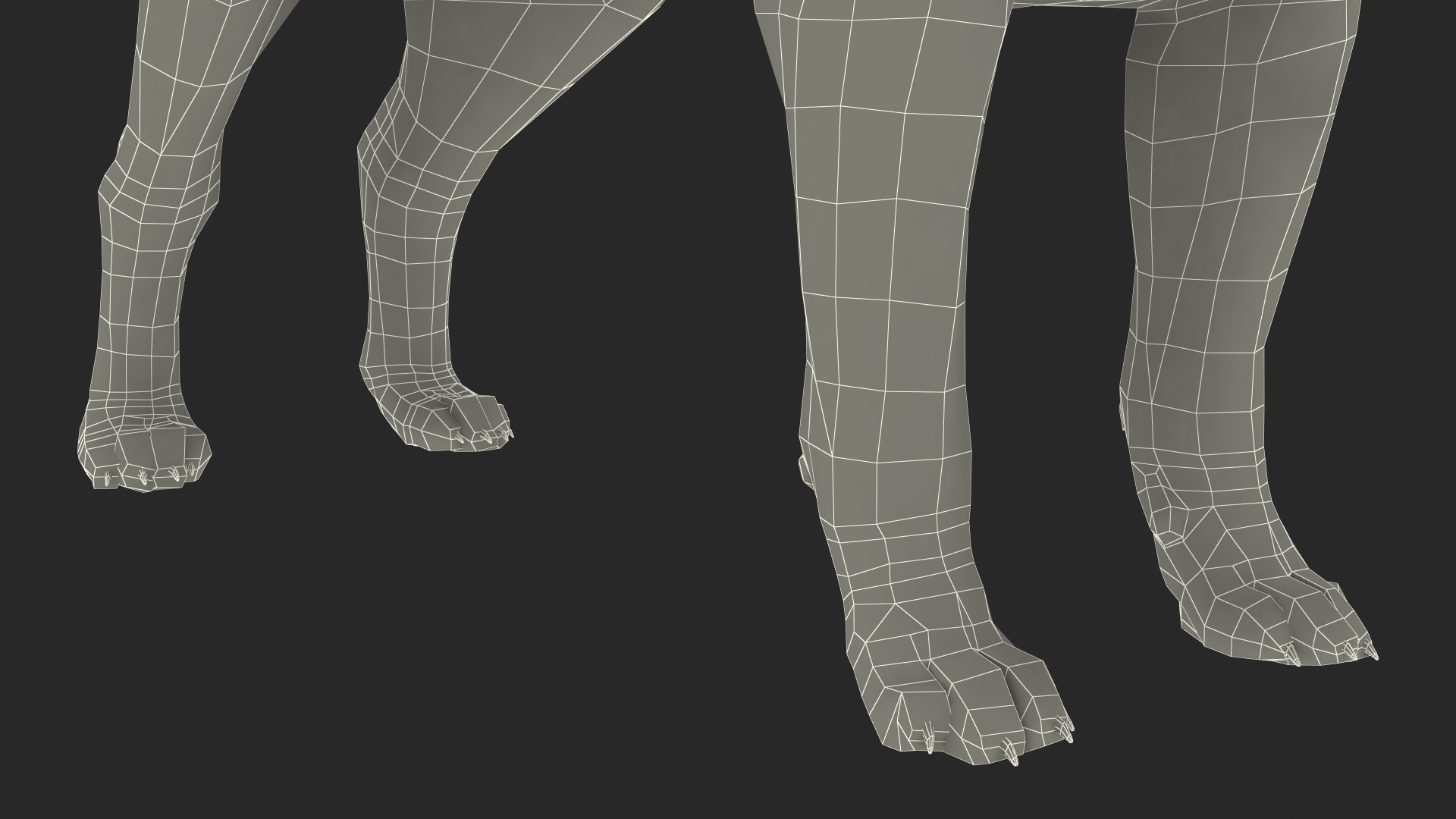 Chihuahua Dog Rigged Fur 3D model