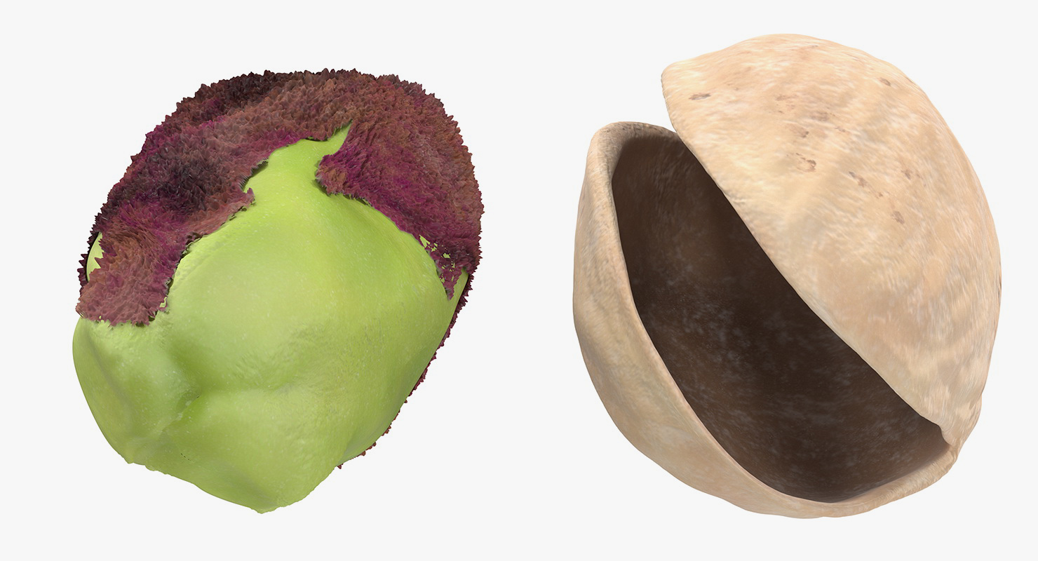 Roasted Pistachios Set 3D