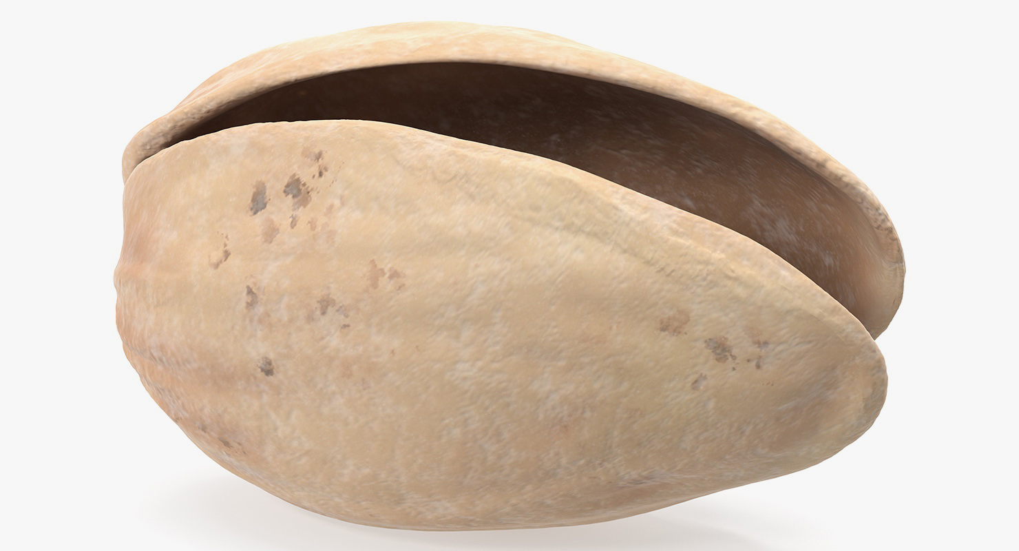 Roasted Pistachios Set 3D