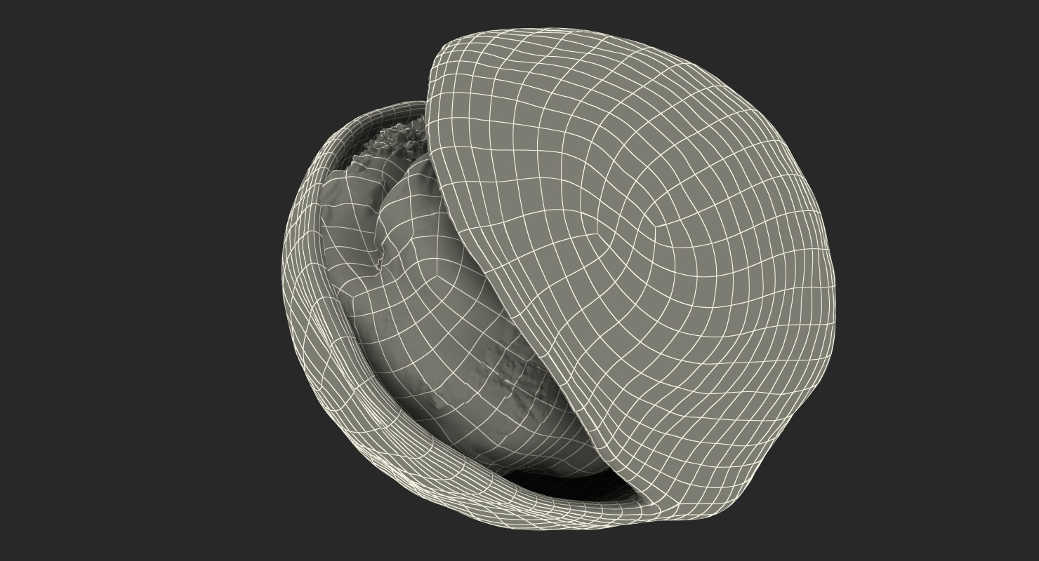 Roasted Pistachios Set 3D