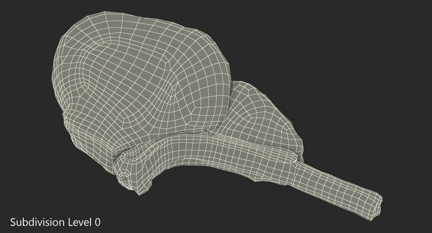 3D BBQ Lamb Chop model