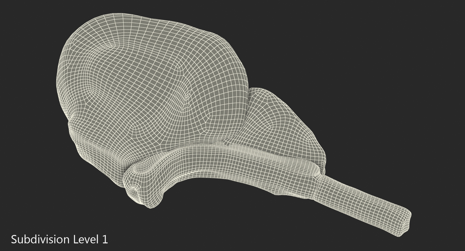 3D BBQ Lamb Chop model