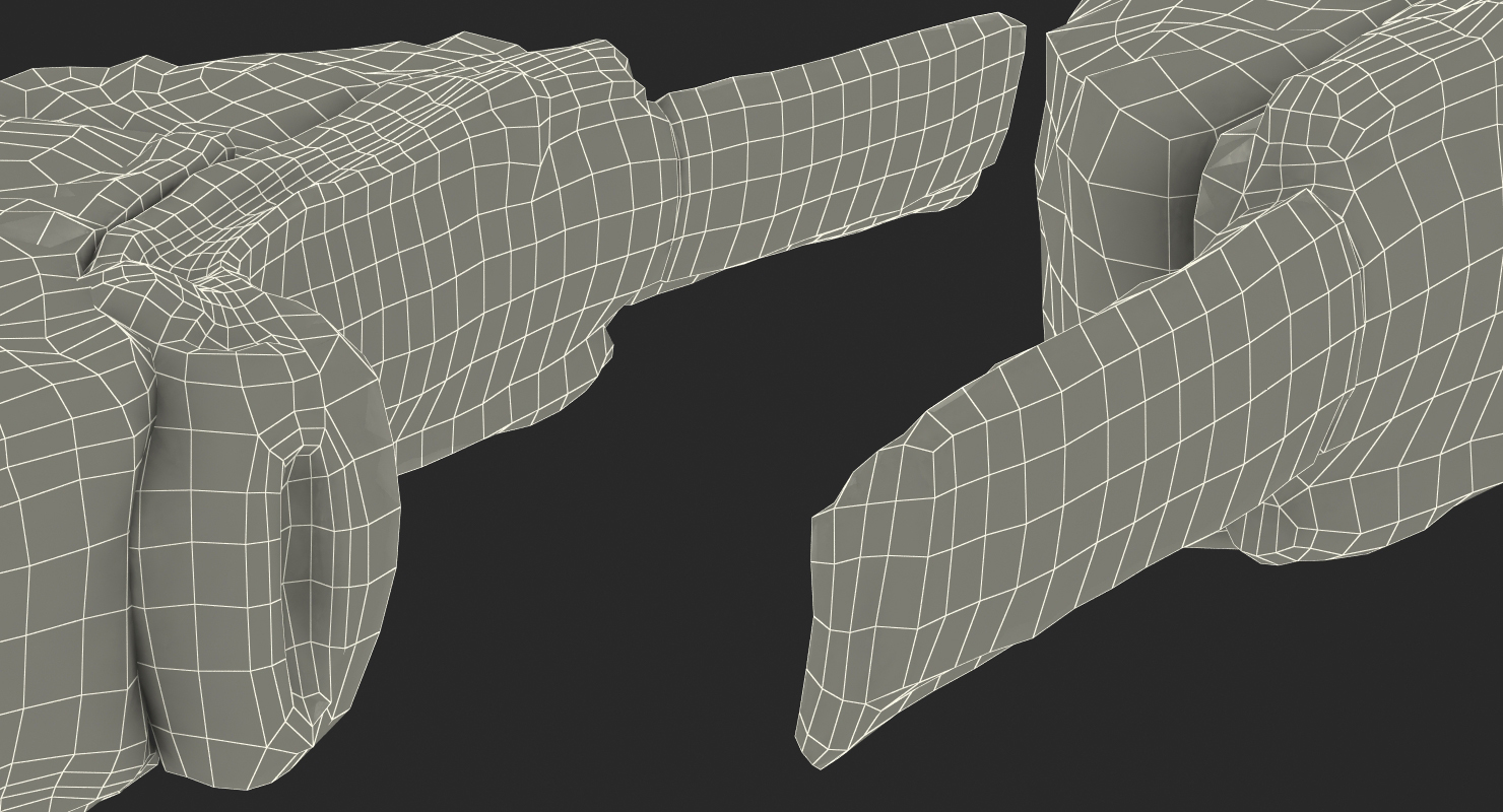 3D BBQ Lamb Chop model