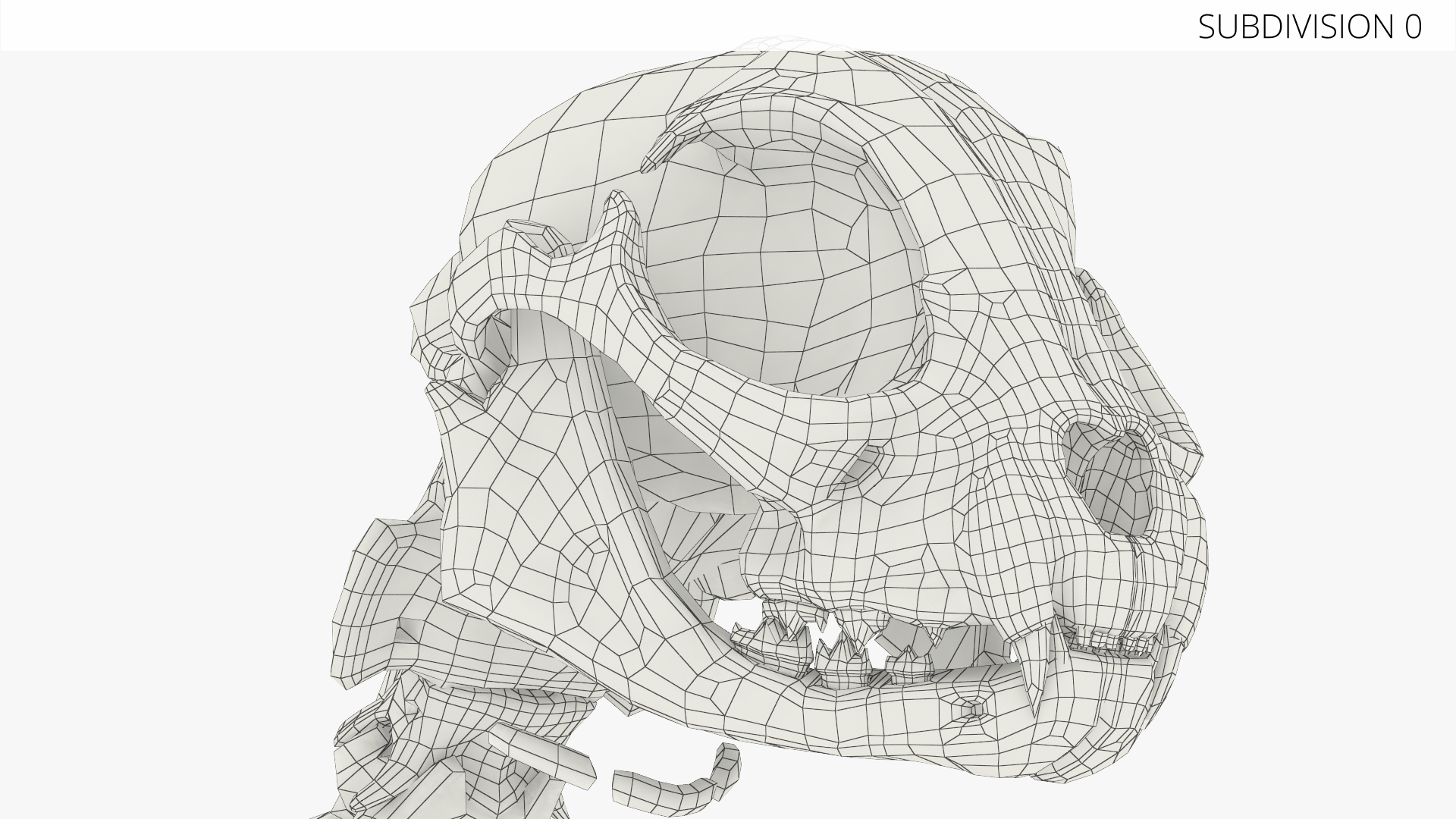 Cat Skeleton Anatomy Structure, view 10