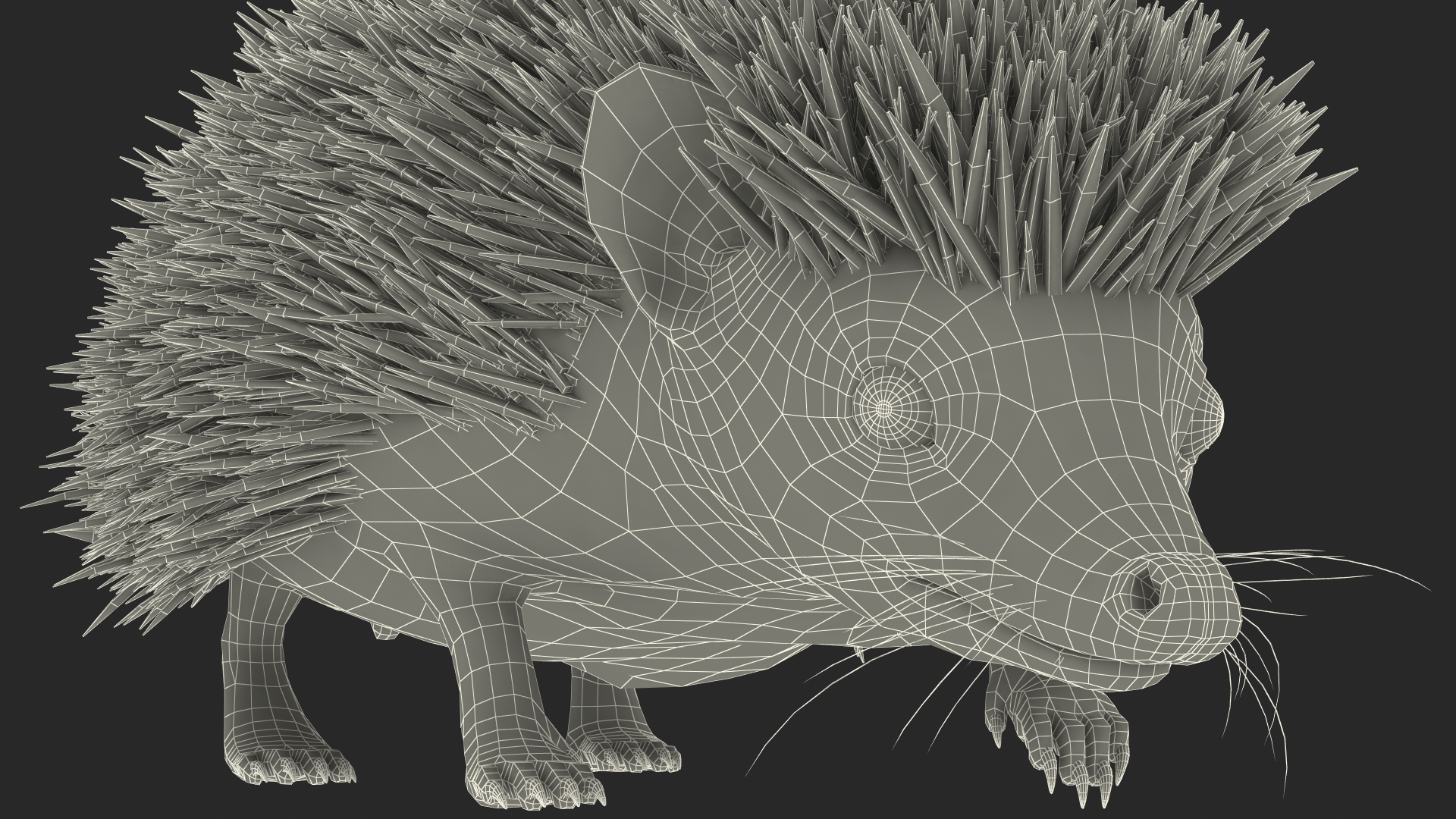 3D Walk Black Hedgehog Fur model
