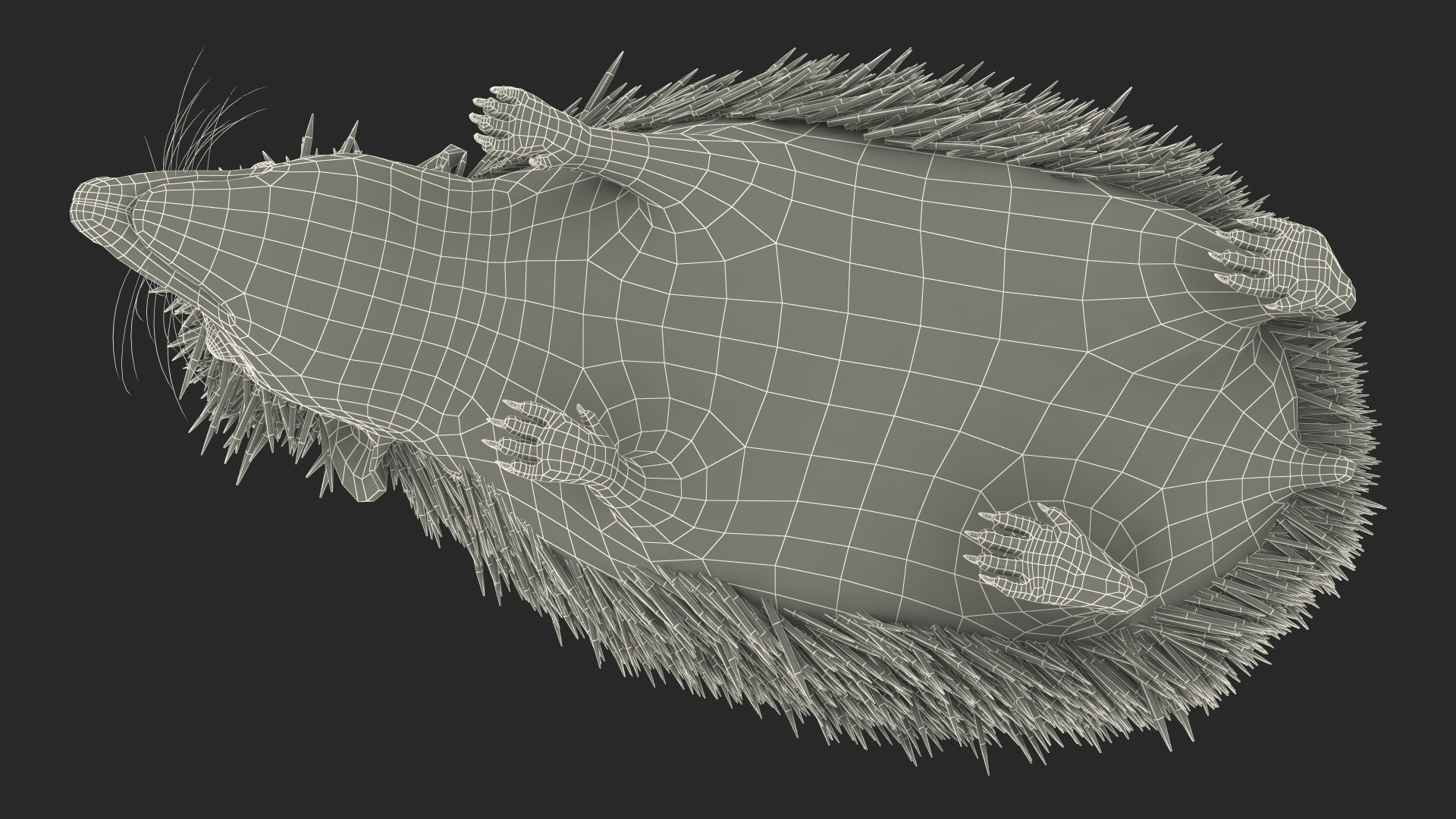 3D Walk Black Hedgehog Fur model
