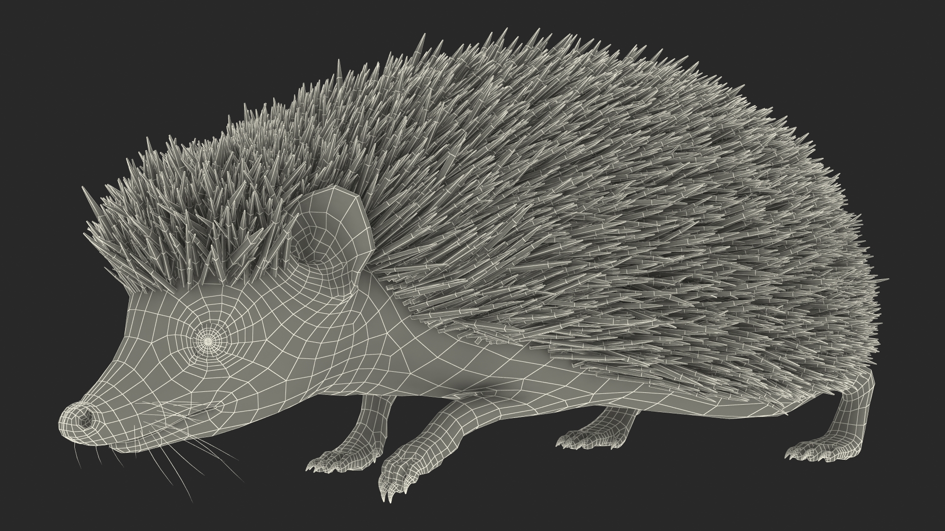 3D Walk Black Hedgehog Fur model
