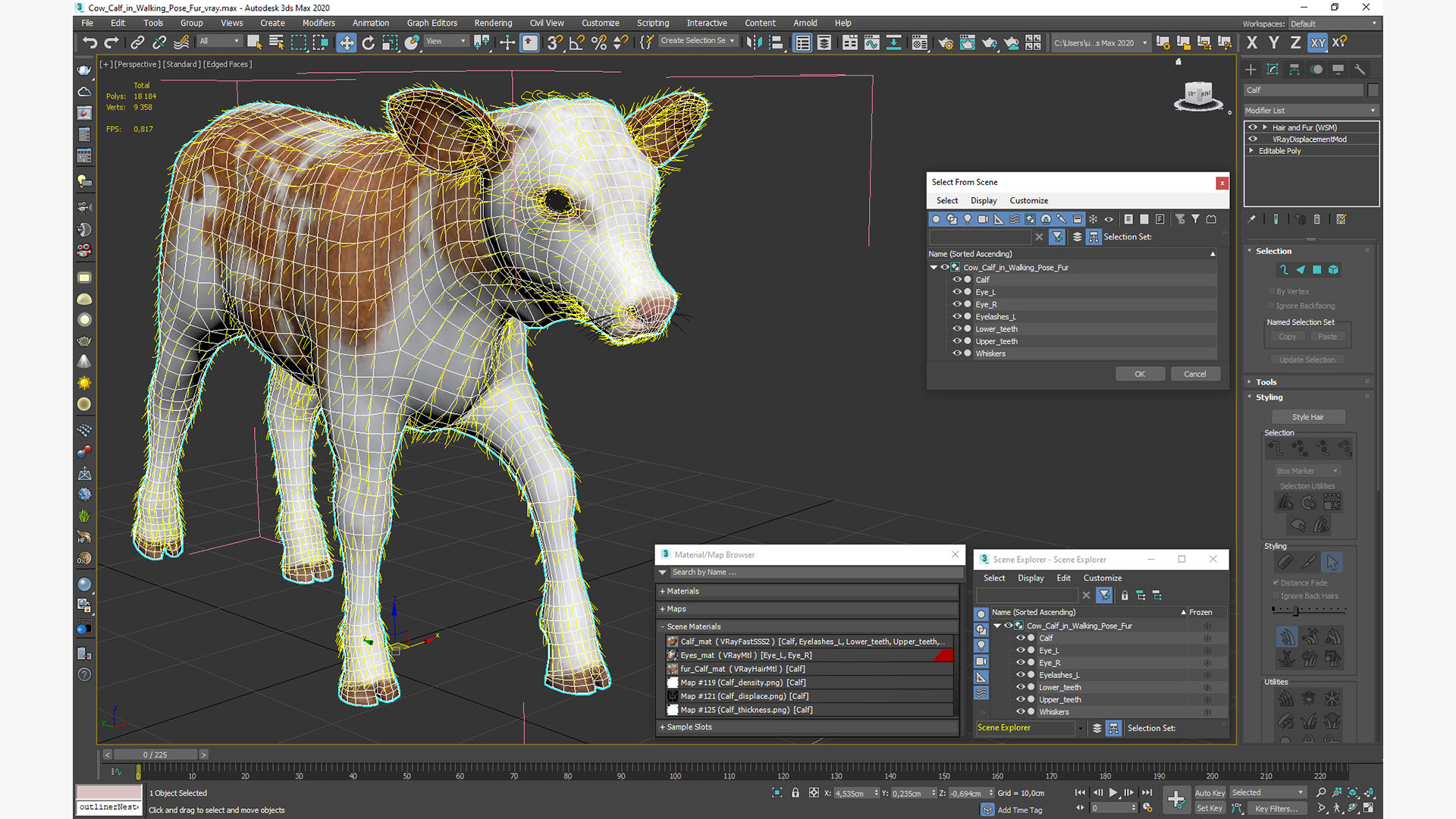 3D Cow Calf in Walking Pose Fur model