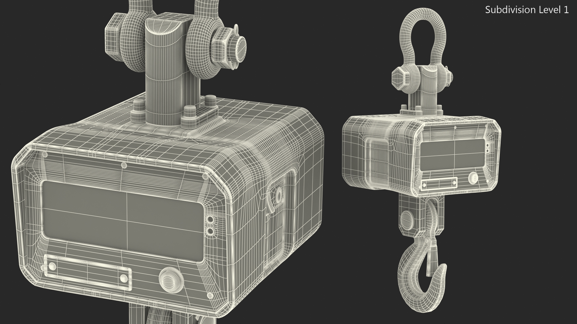 Heavy Duty Crane Scale 3D