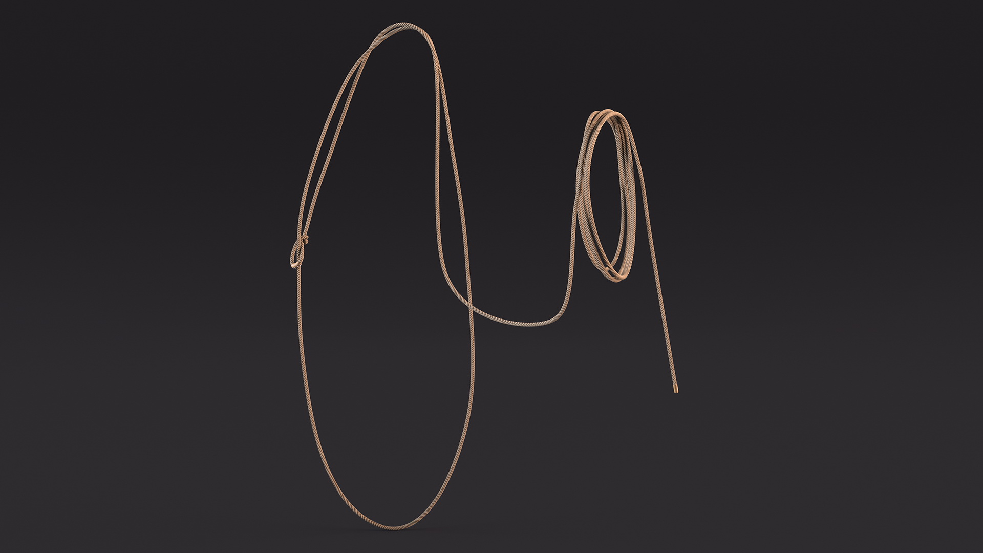 Natural Western Lasso Rope Catching Position 3D model