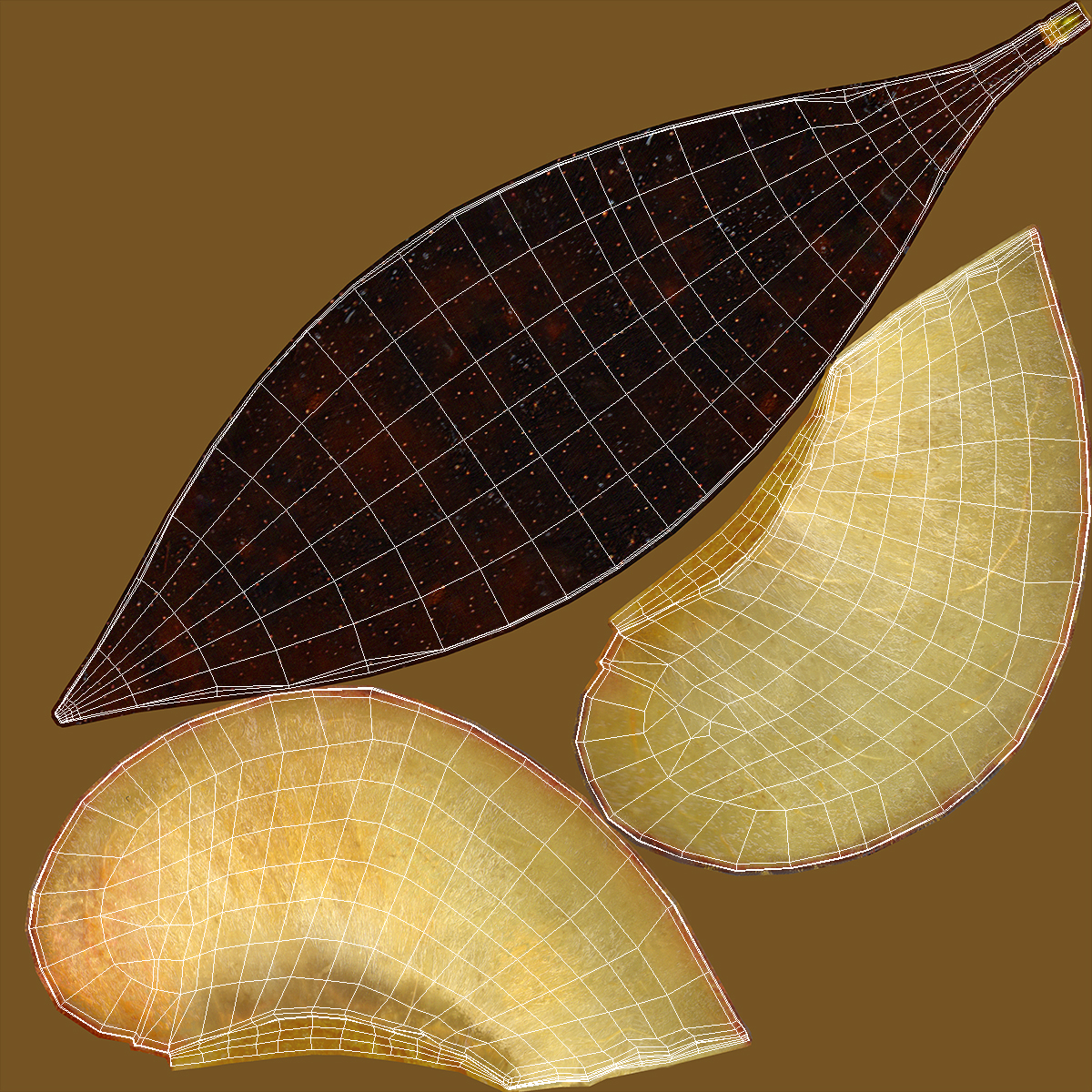 3D model Fresh Red Plum Slice